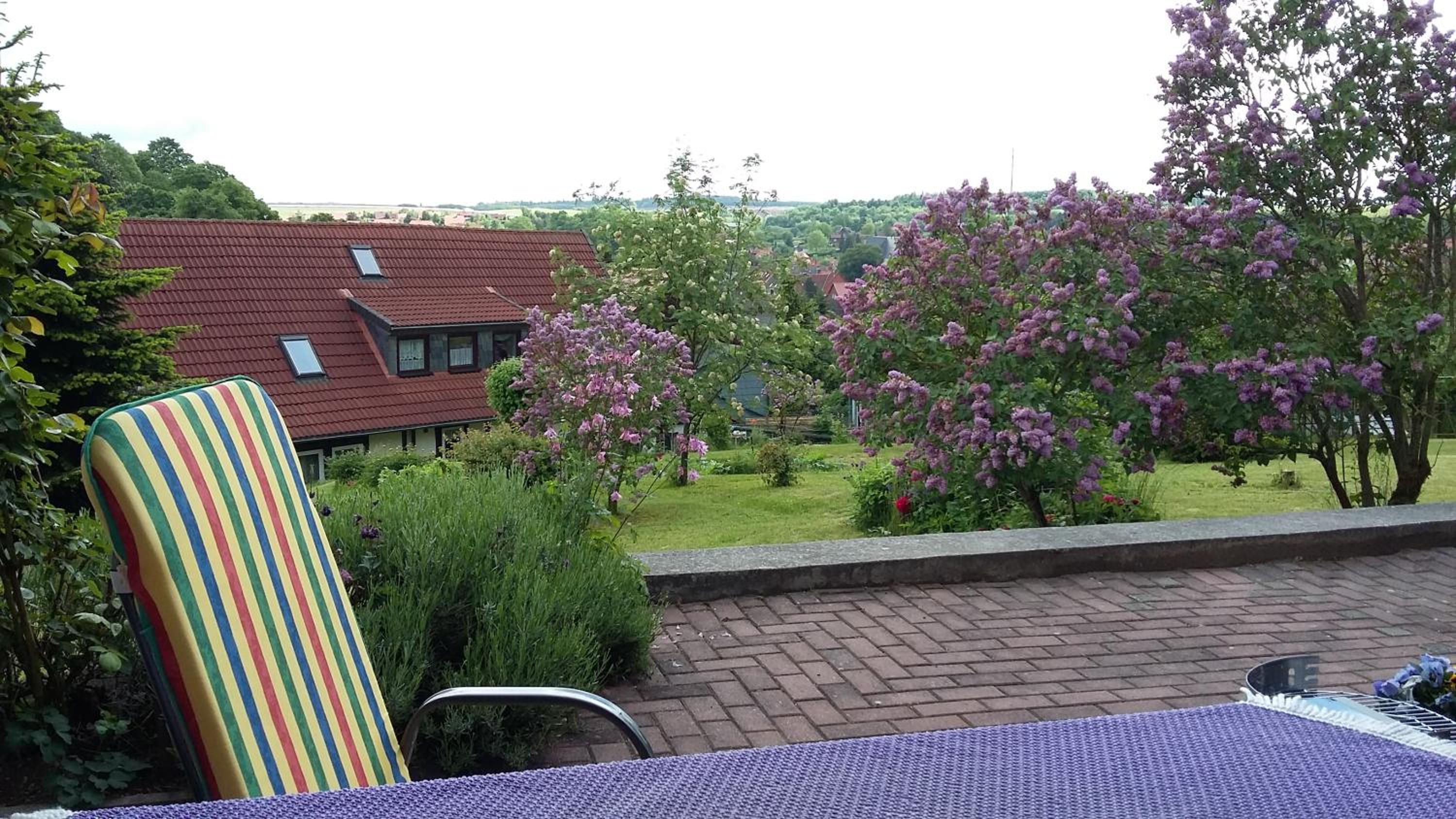 Ferienhaus 1