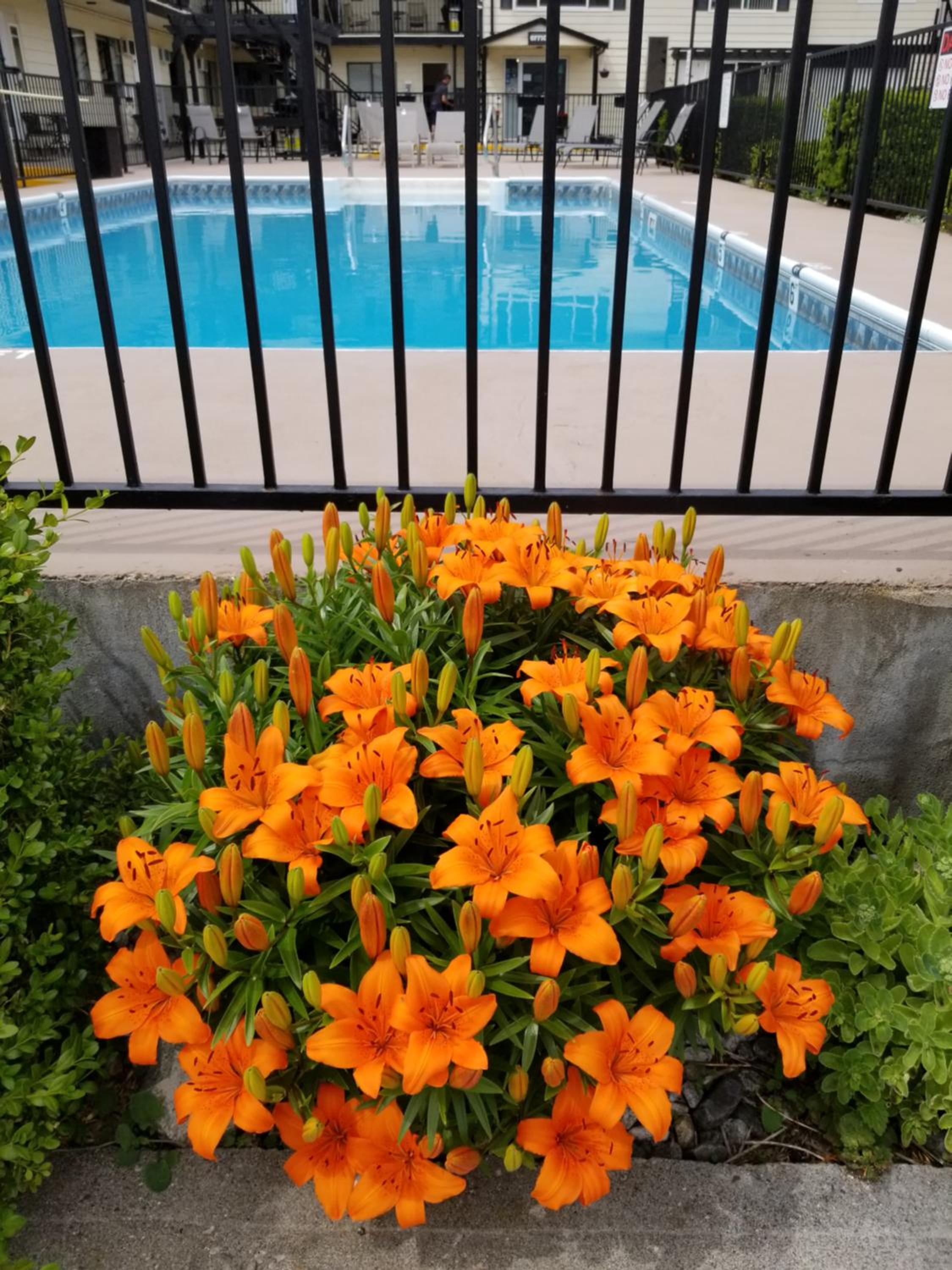 Osoyoos Lakeview Inn & Suites