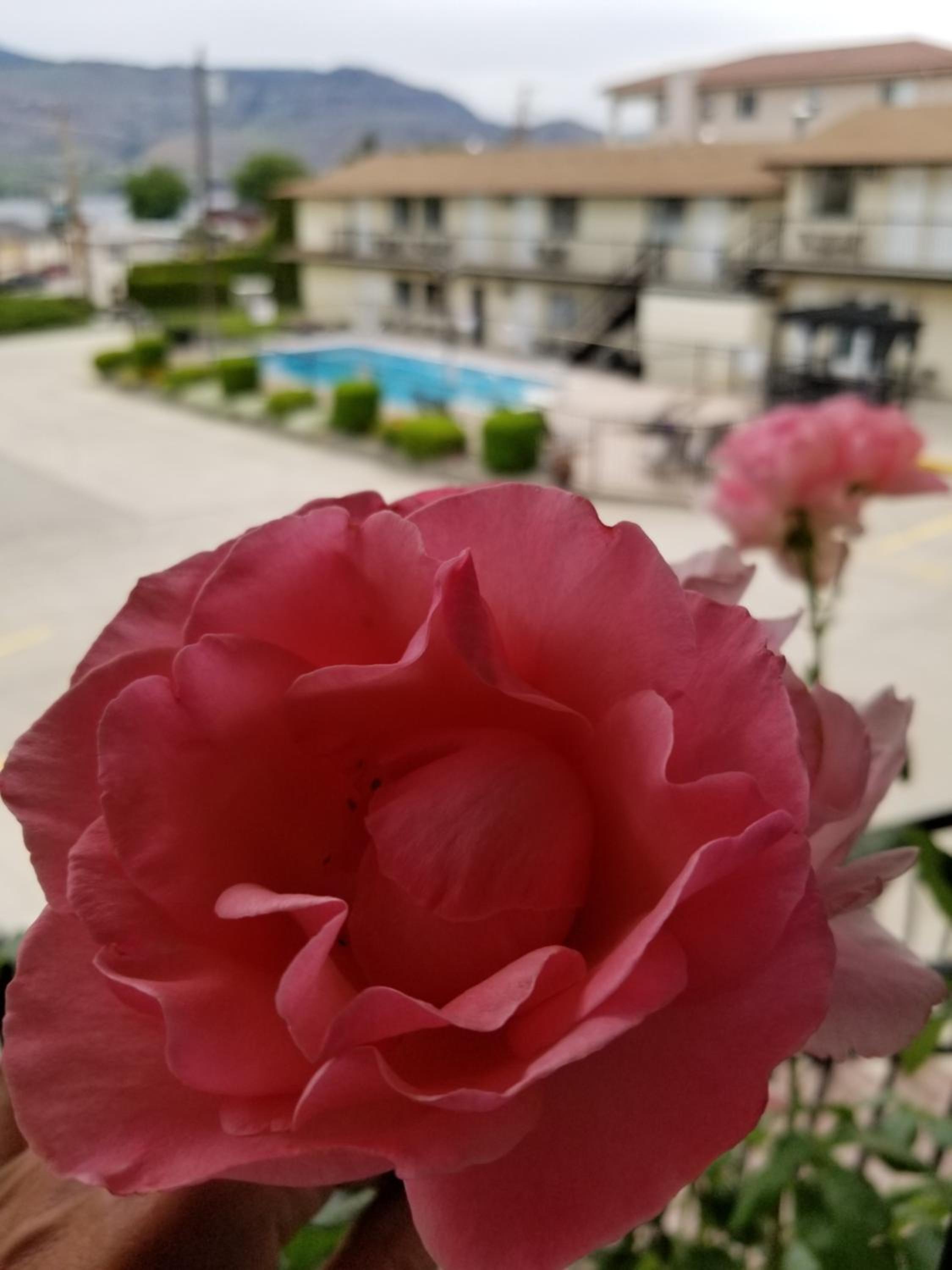 Osoyoos Lakeview Inn & Suites
