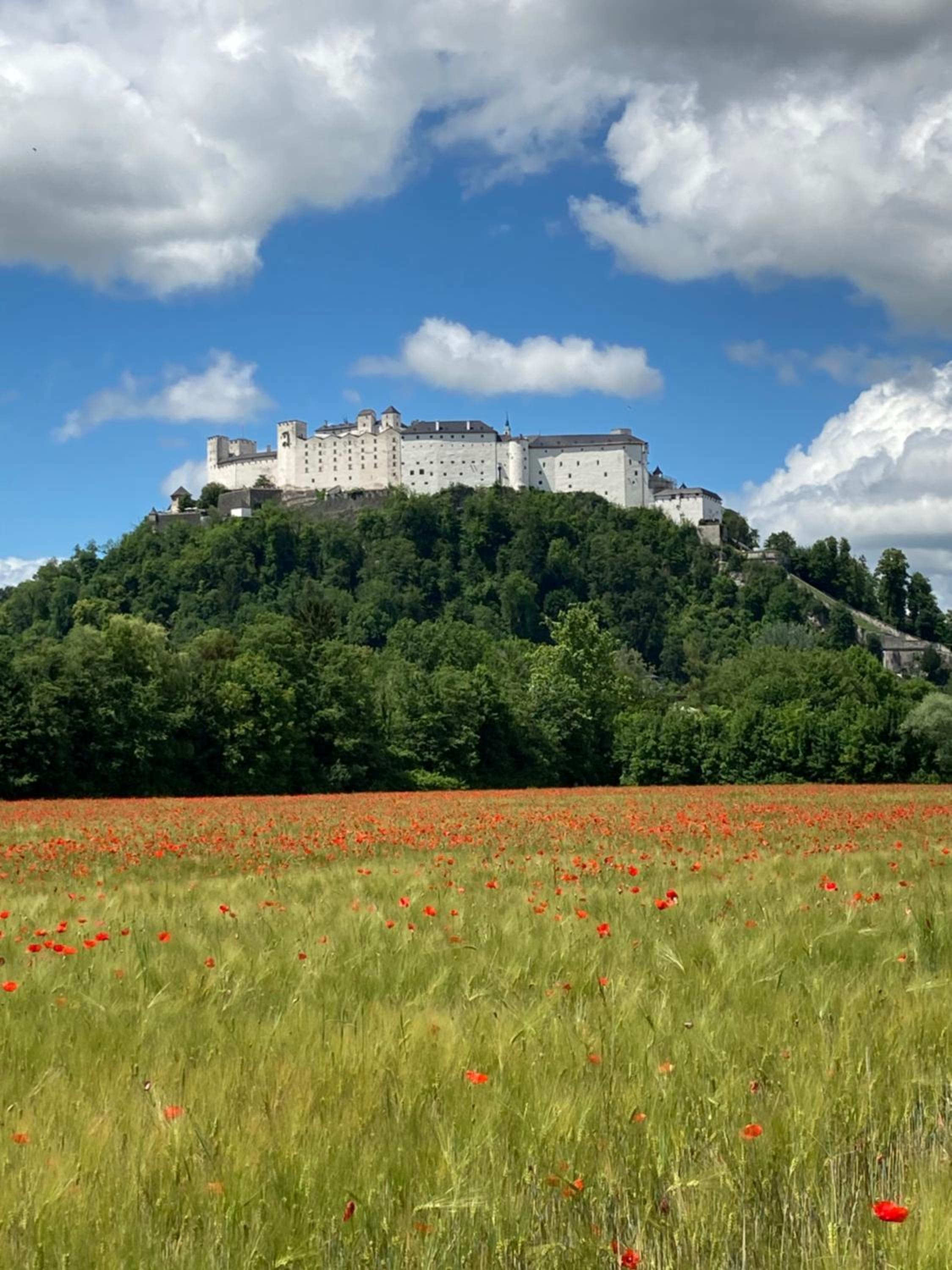 Haus Haslach