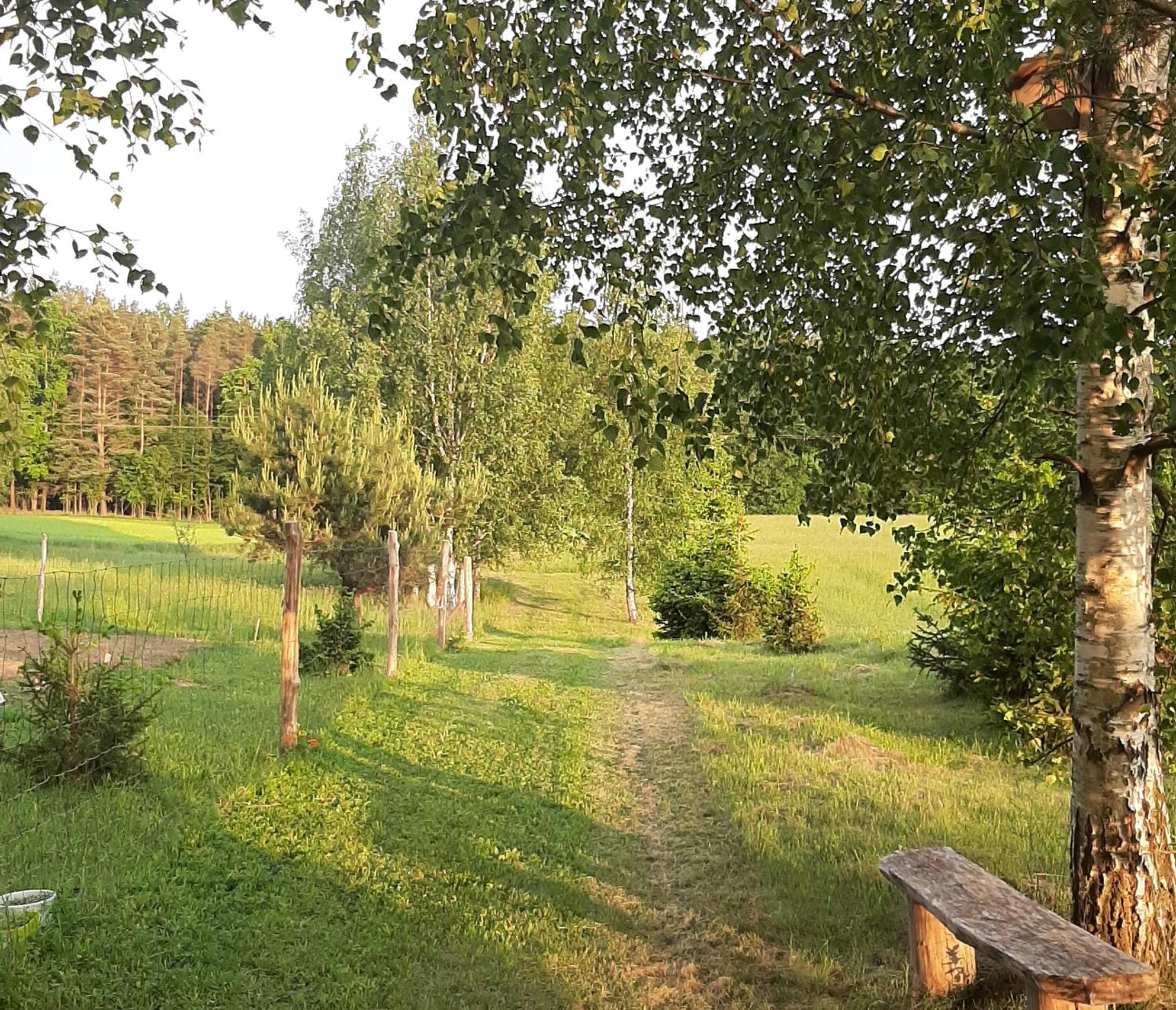 Photo 41
