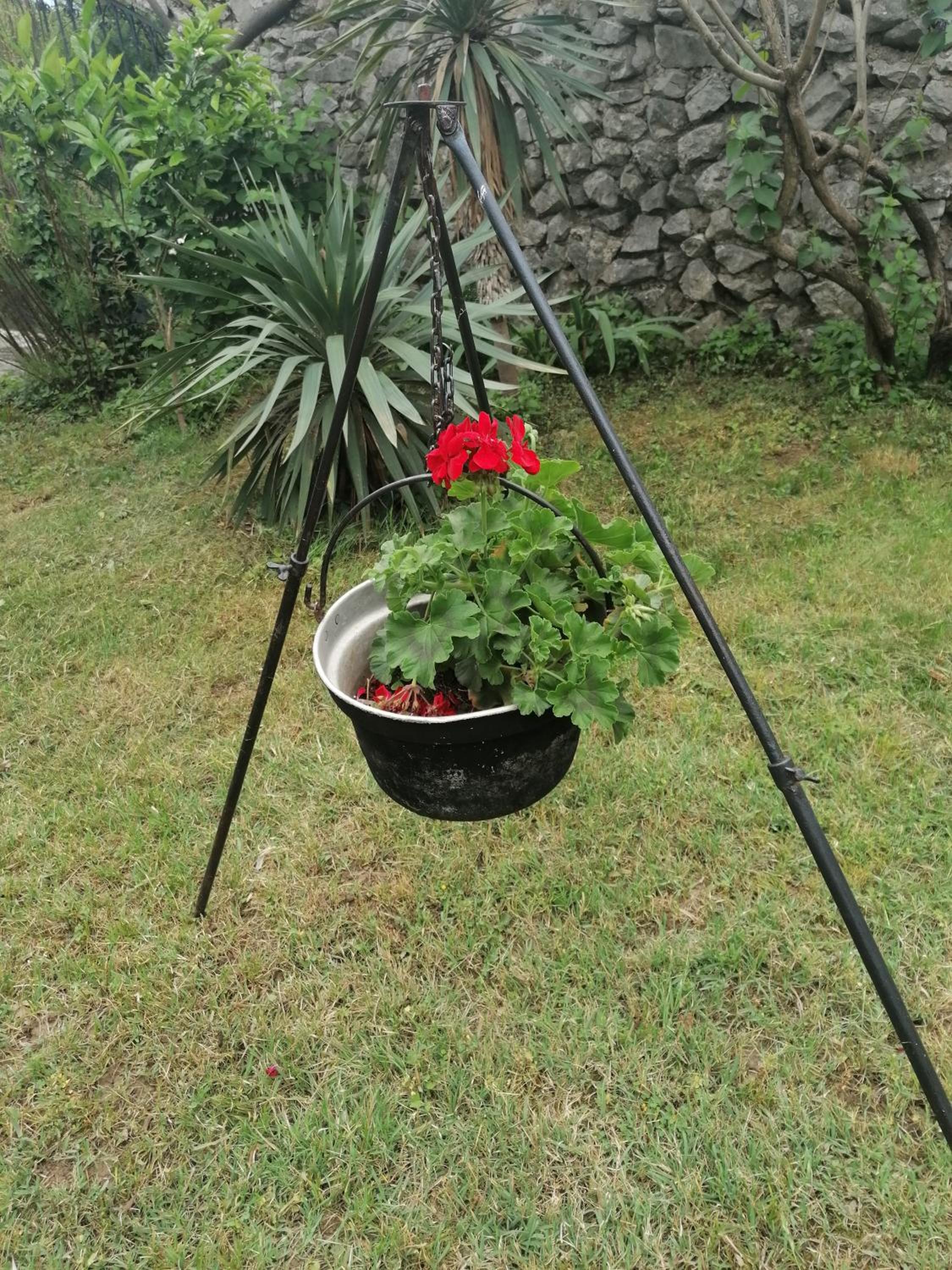 Photo 29