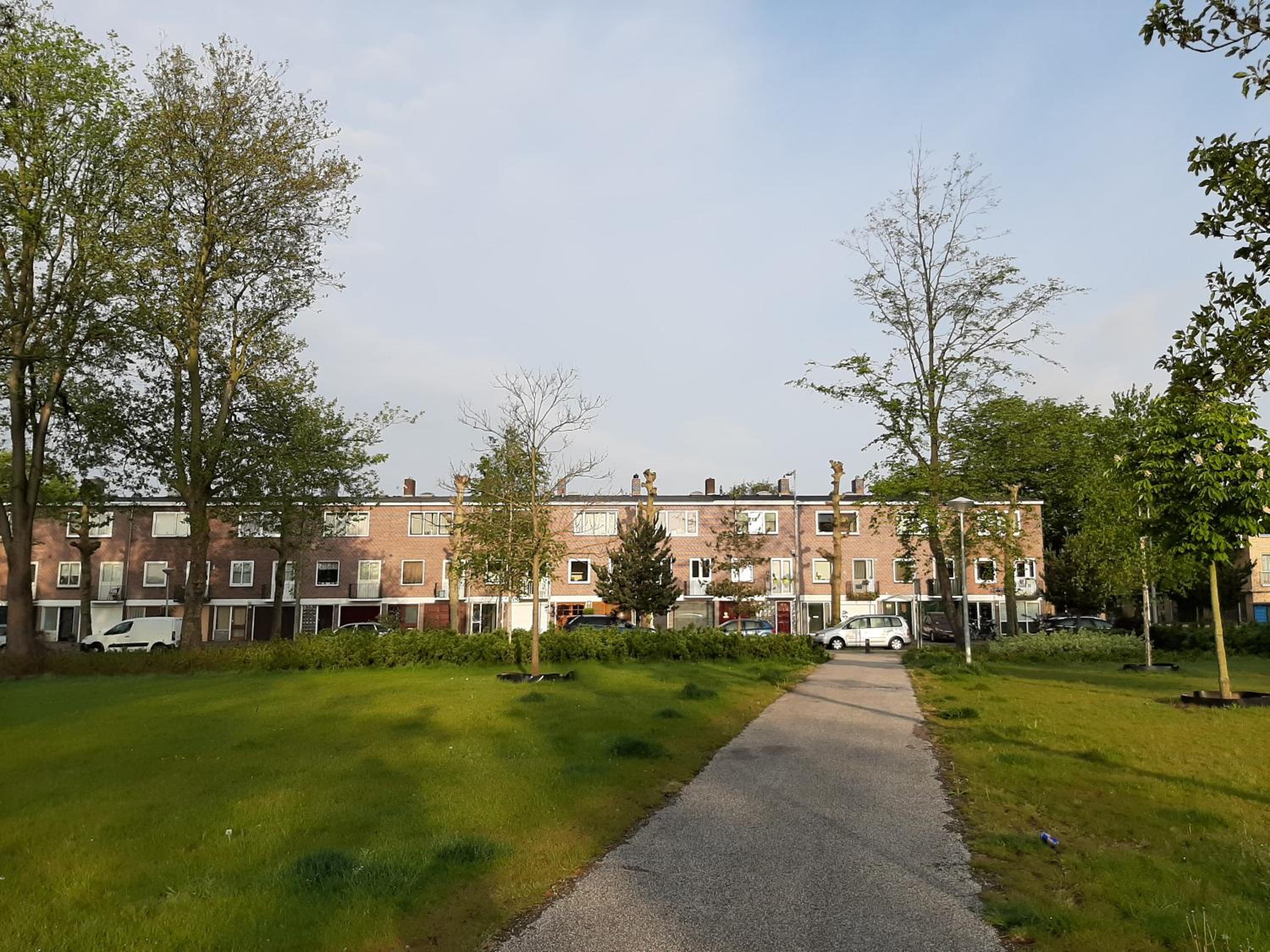 Mi BnB Amsterdam
