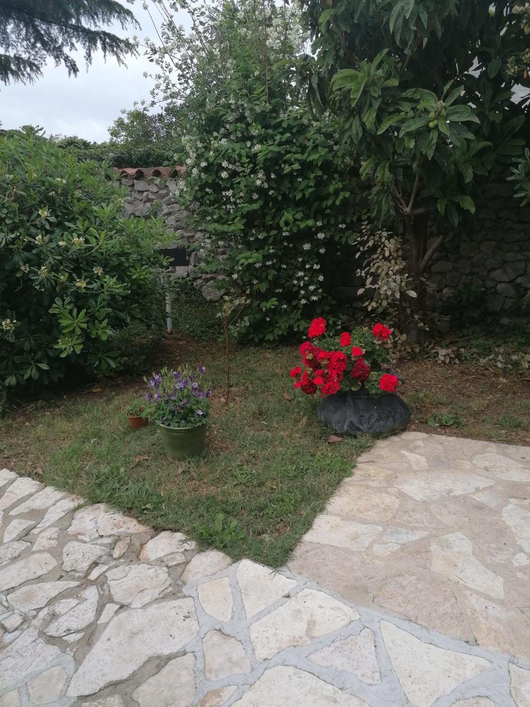 Photo 27