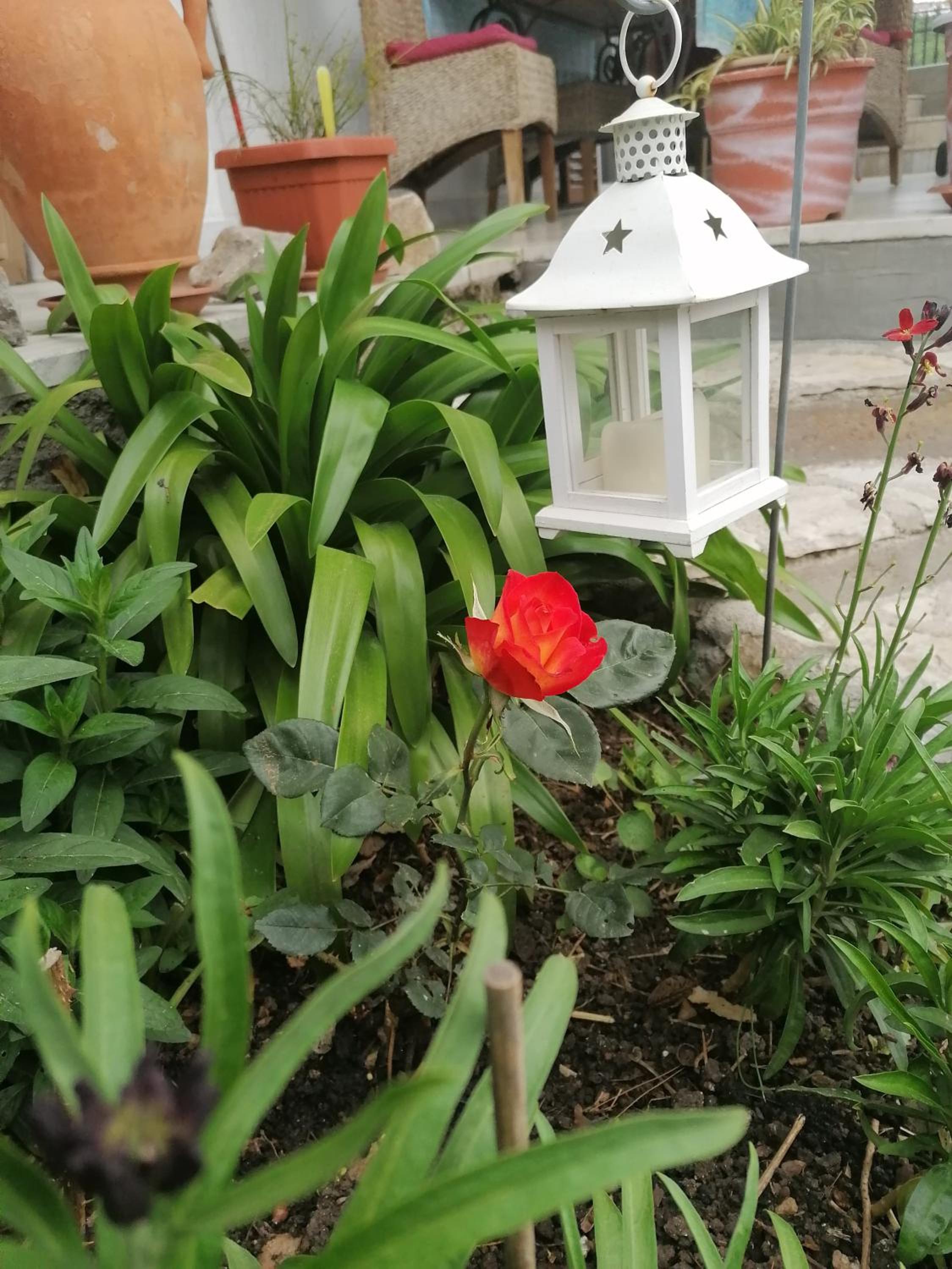 Photo 26