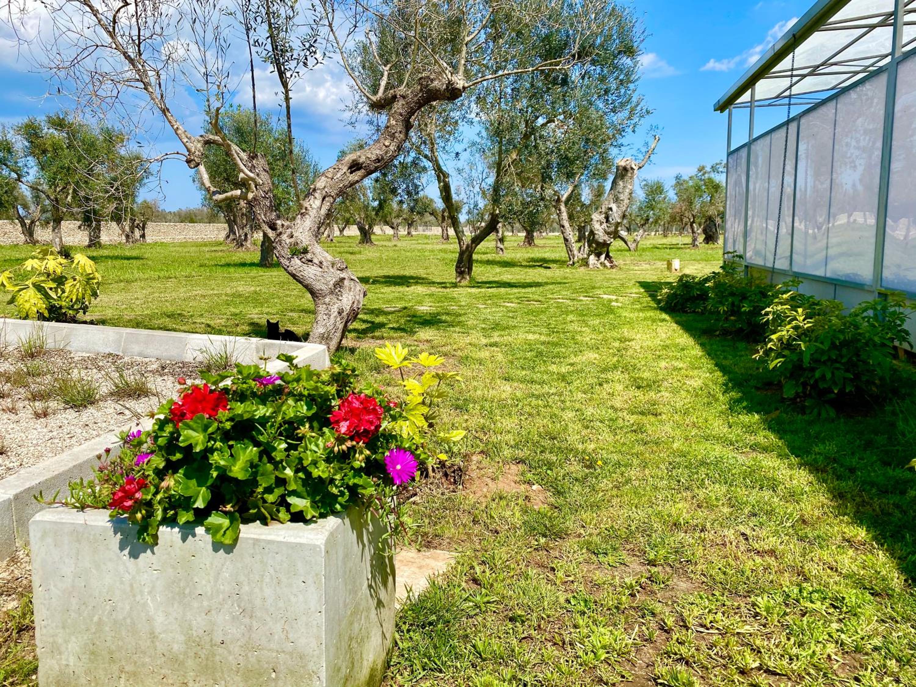 Photo 16