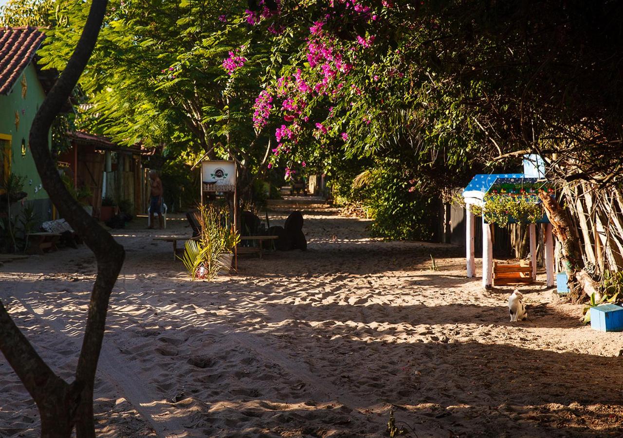 Photo 65