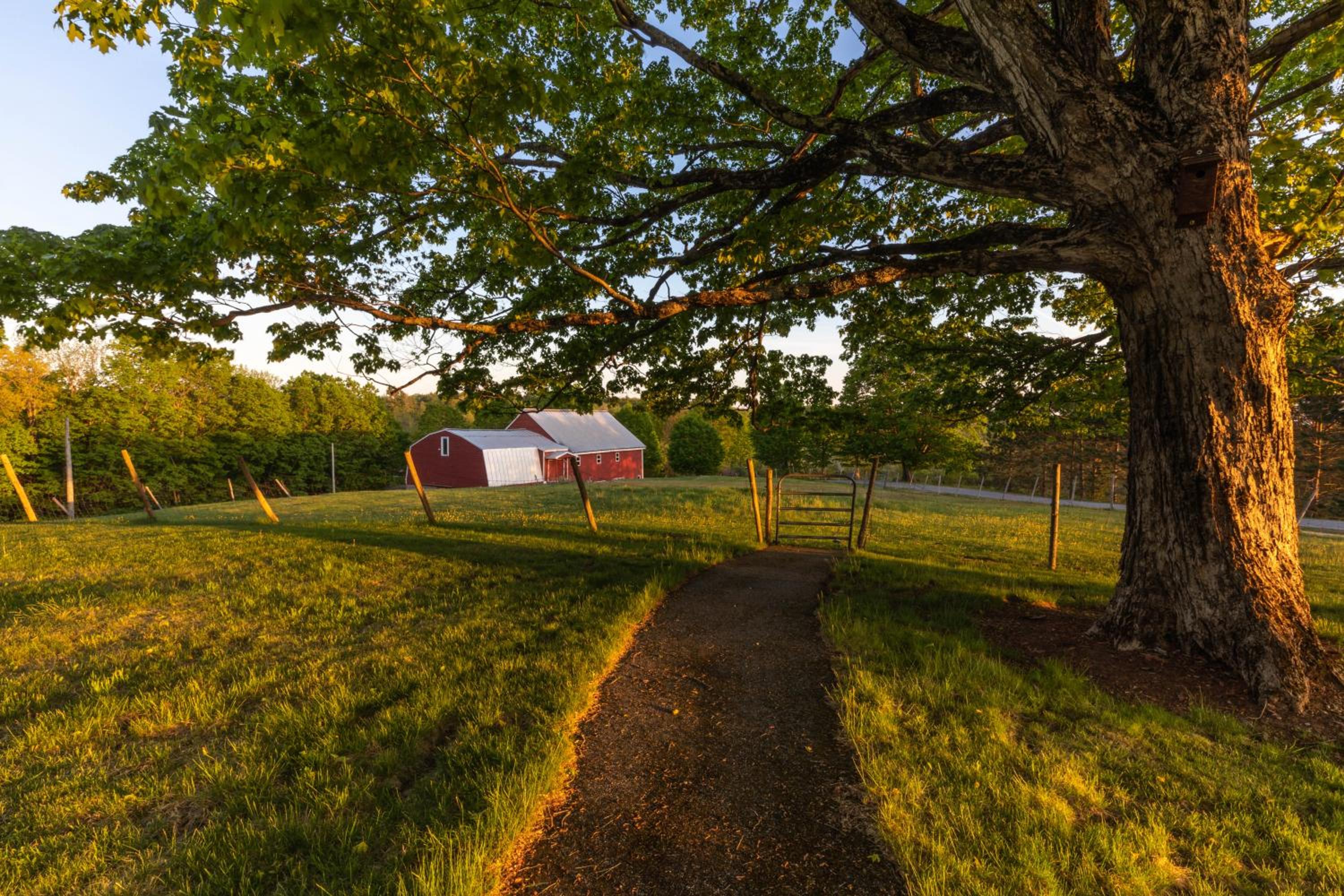 Maple Hill Farm Inn