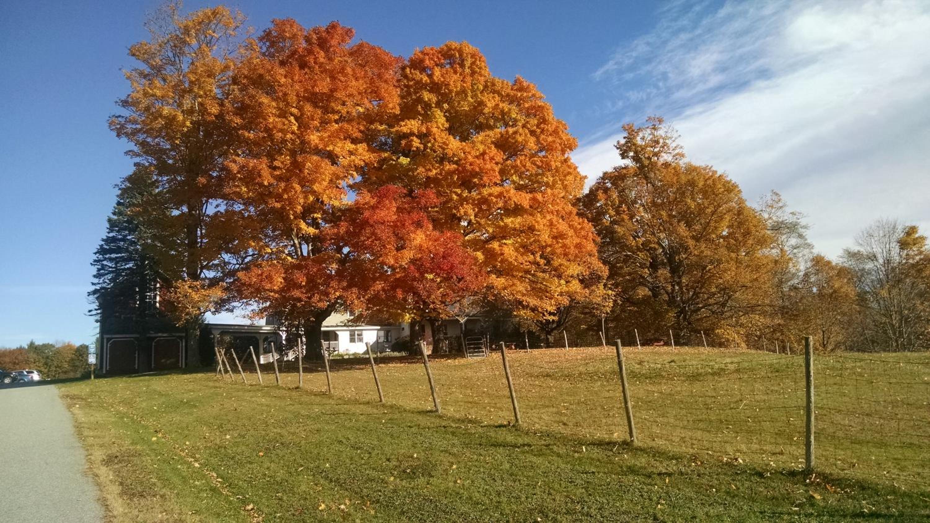 Maple Hill Farm Inn