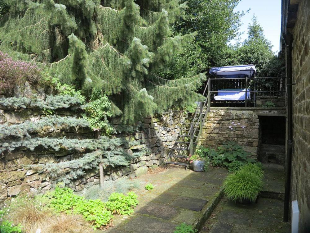 Photo 46