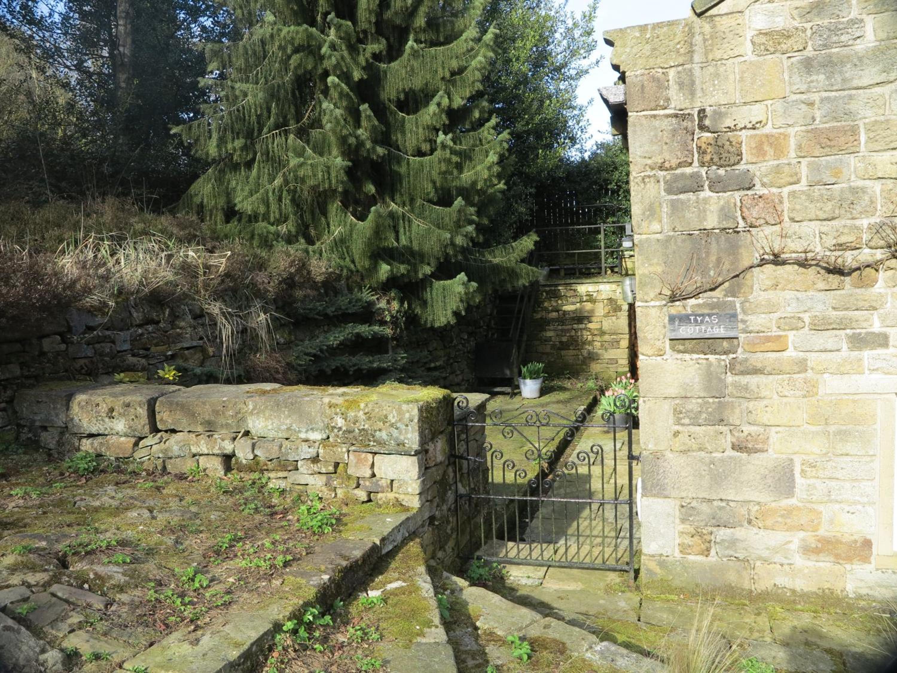 Photo 48