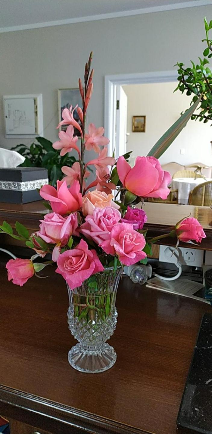 Photo 26