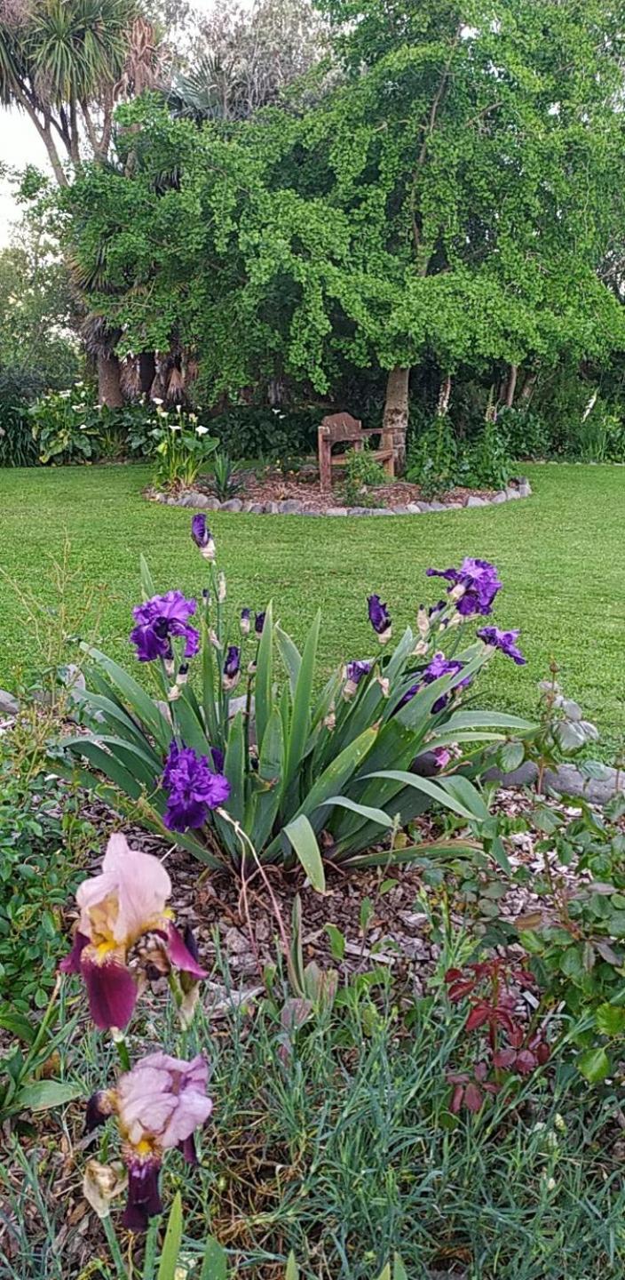 Lancewood Lodge view 2