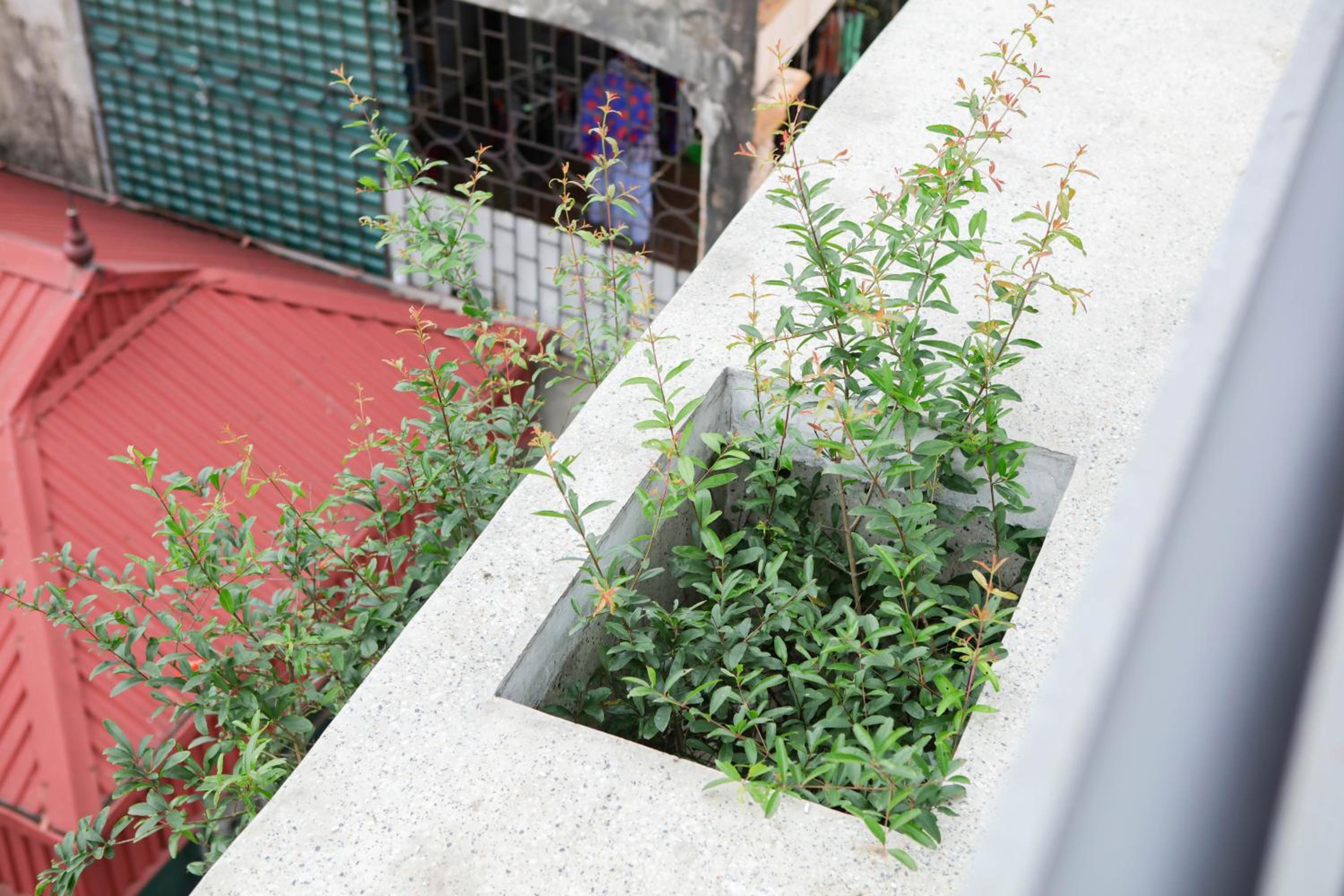 Jasmine Apartment managed by Lily Home