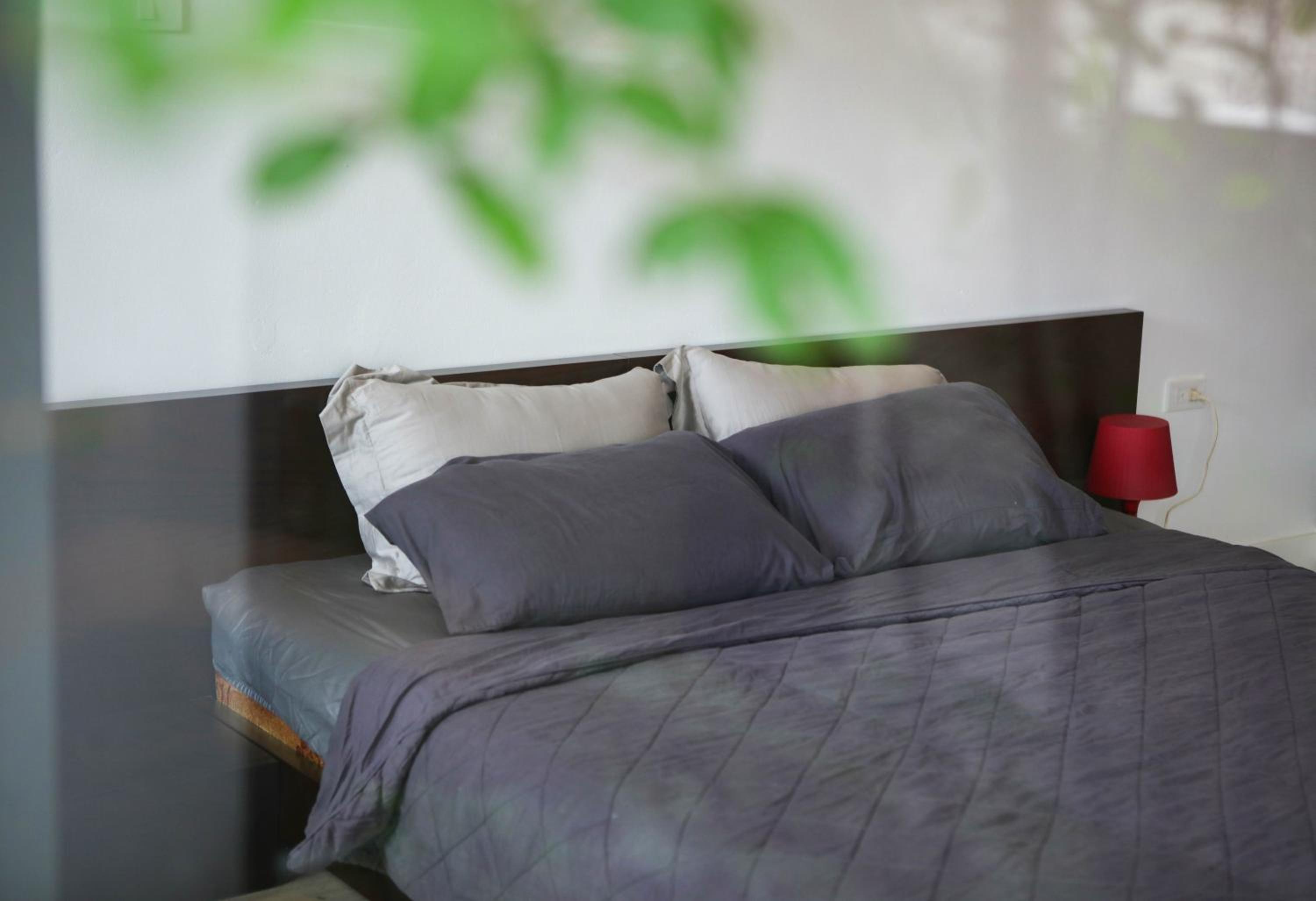 Jasmine Apartment managed by Lily Home