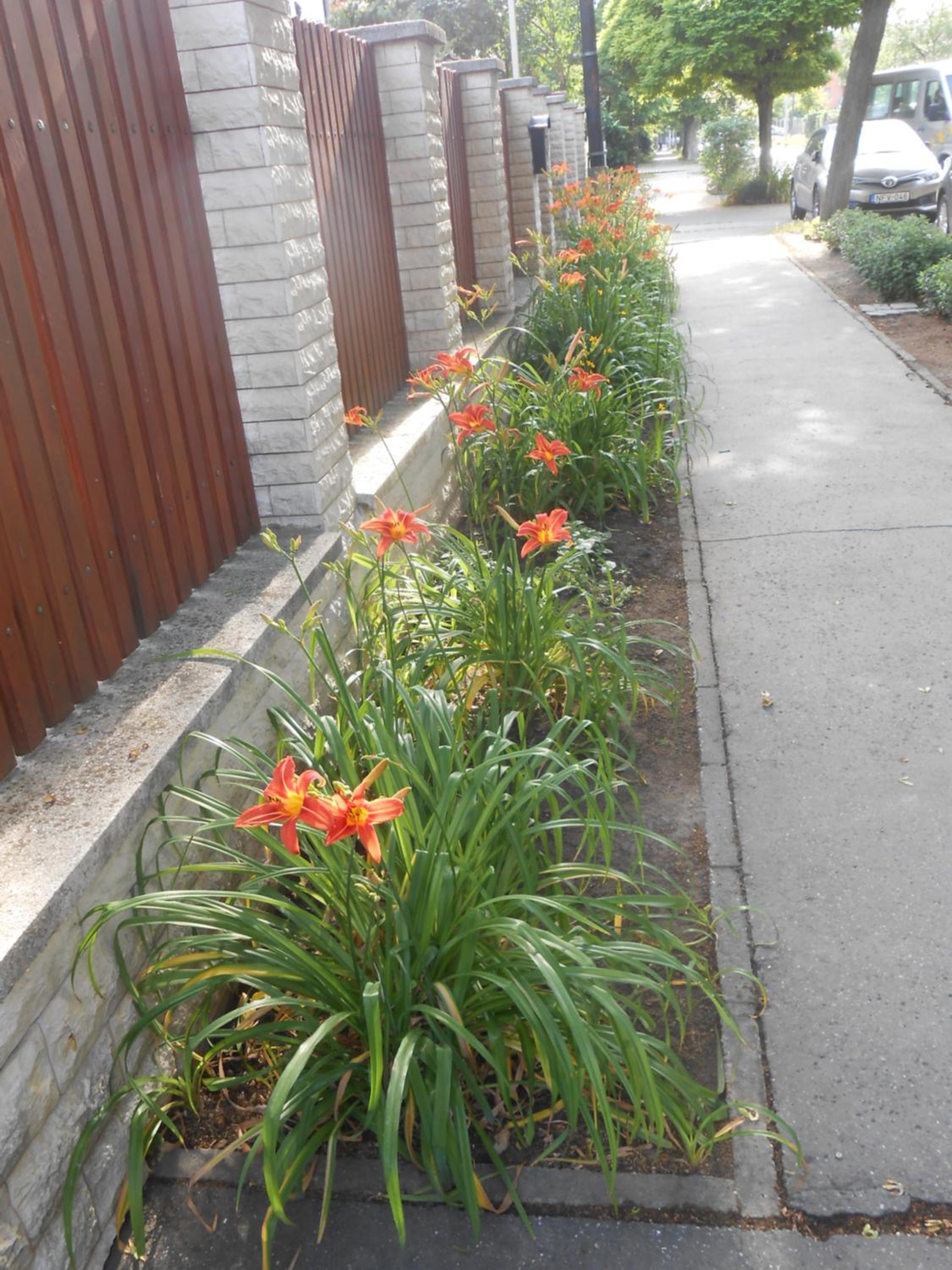 Photo 24