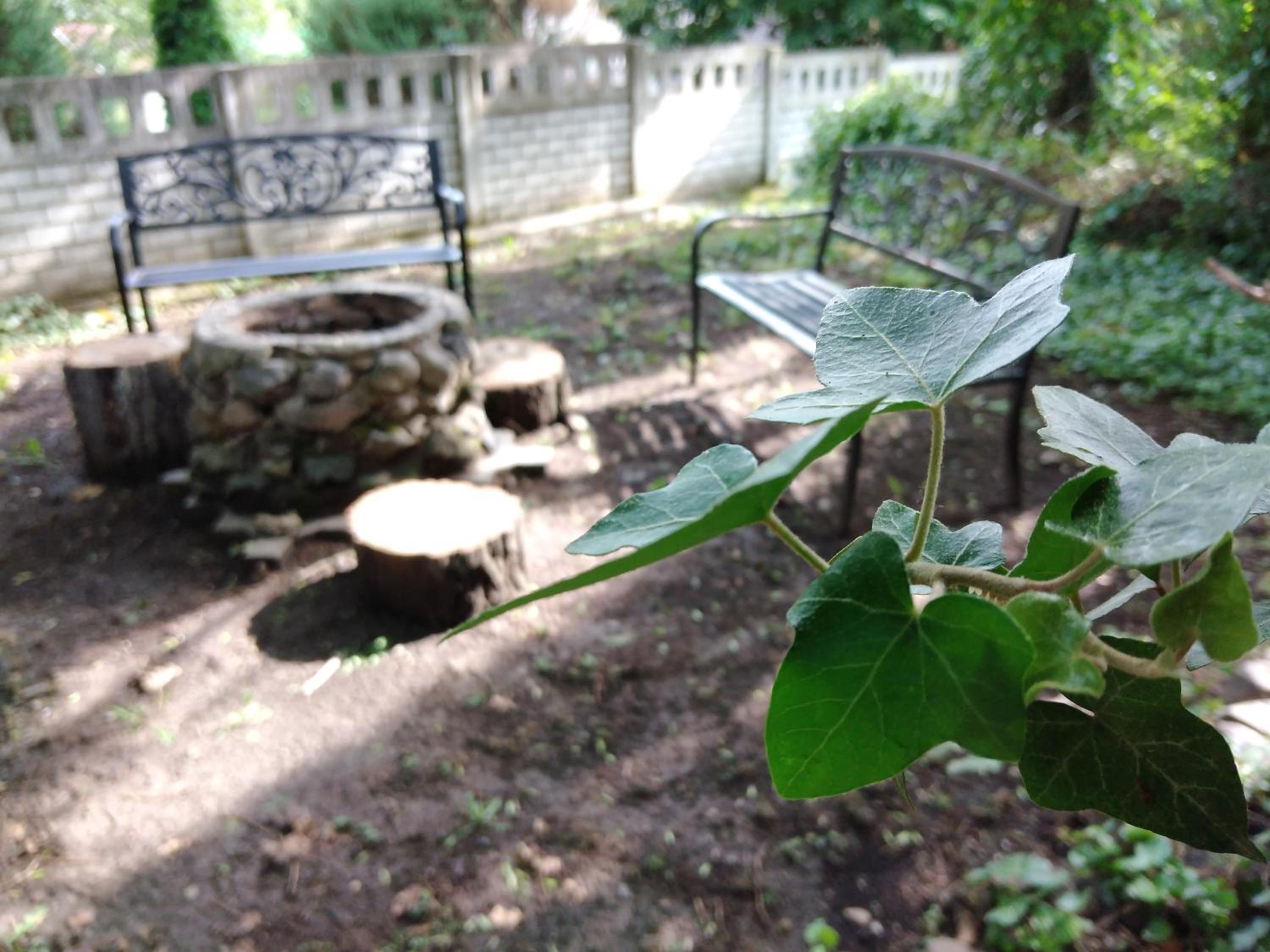 Photo 19
