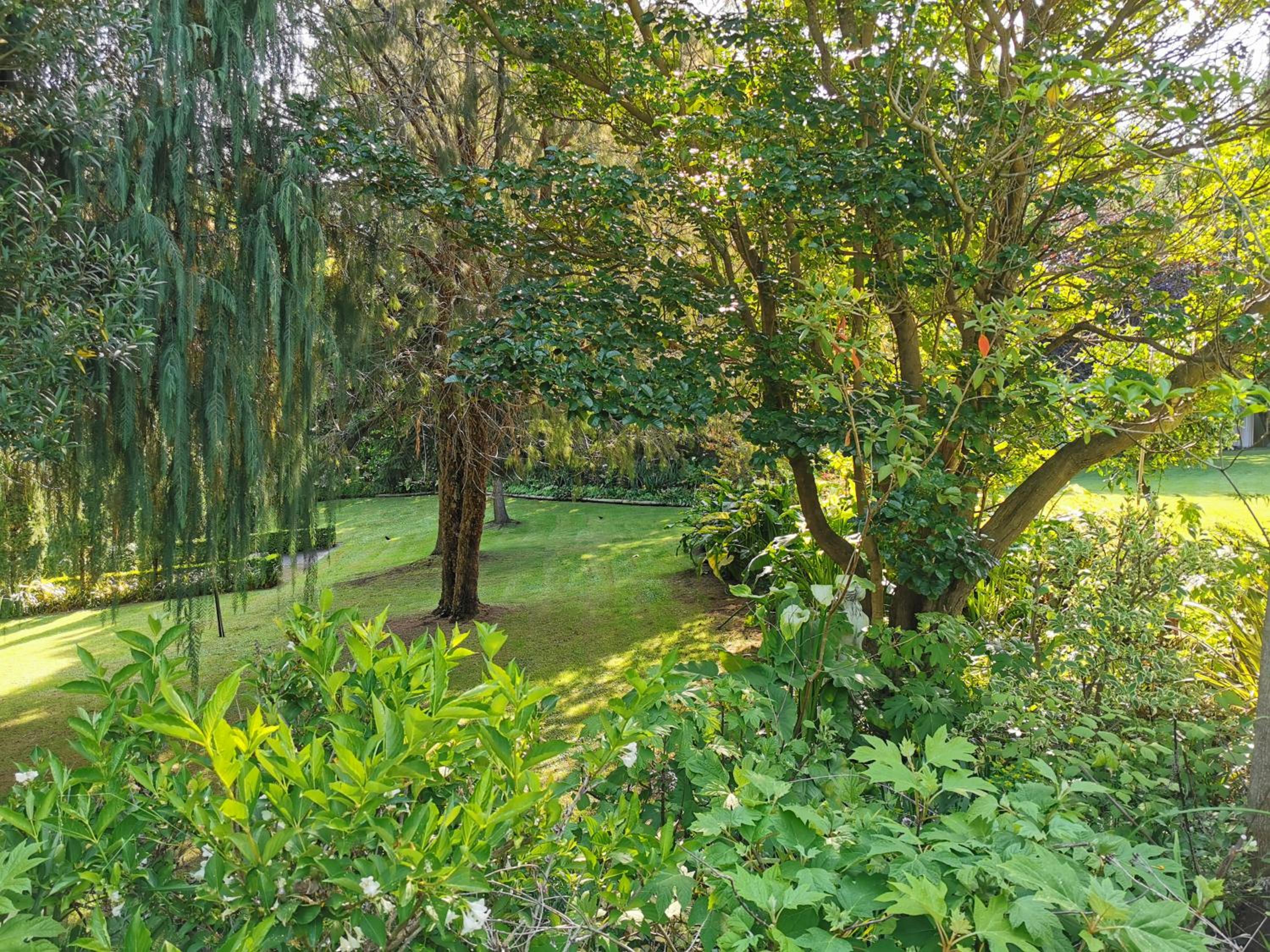 Photo 38
