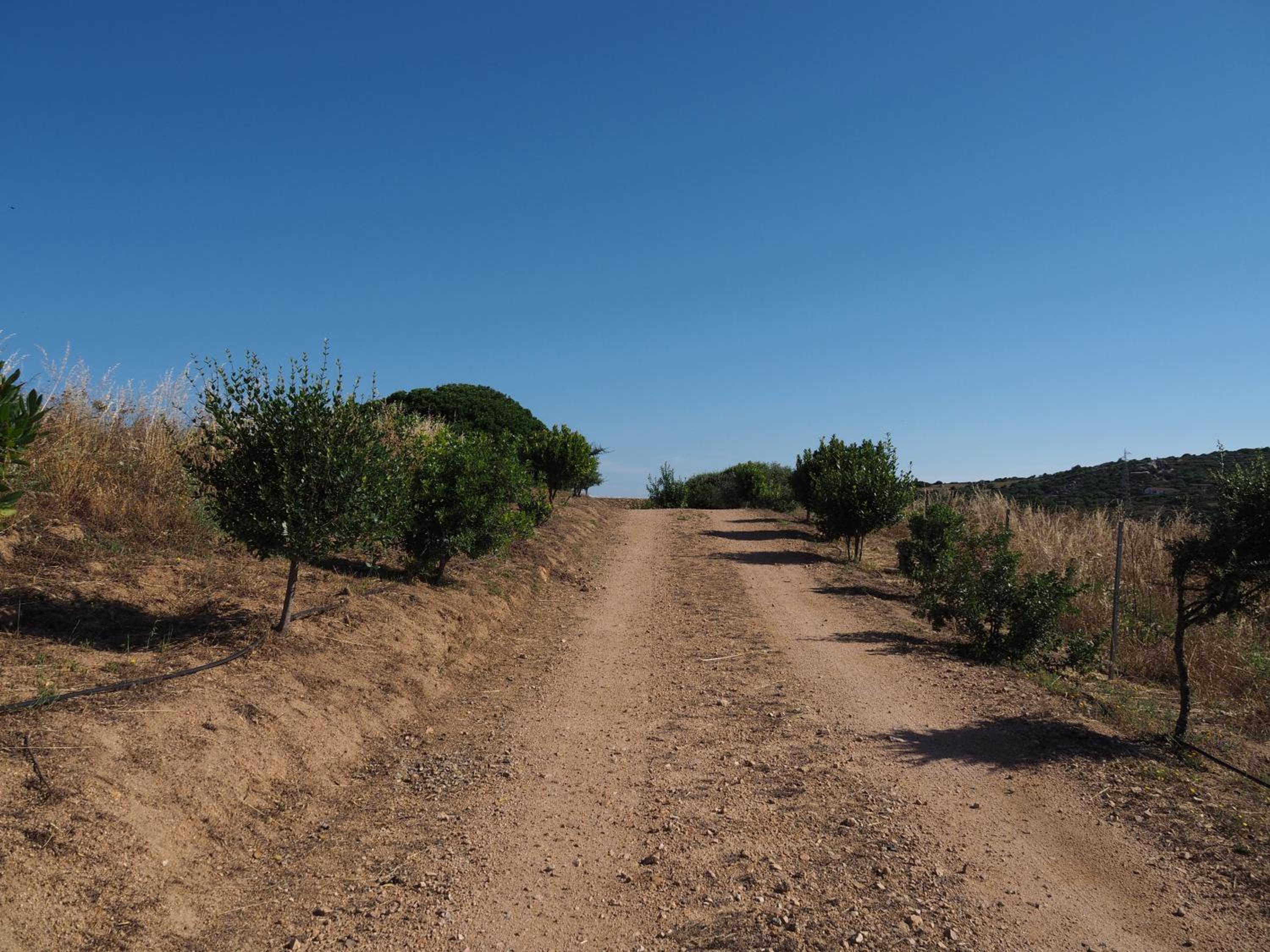 Photo 46