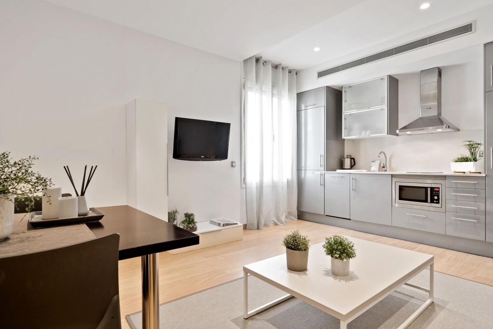 Fisa Rentals Gran Via Apartments