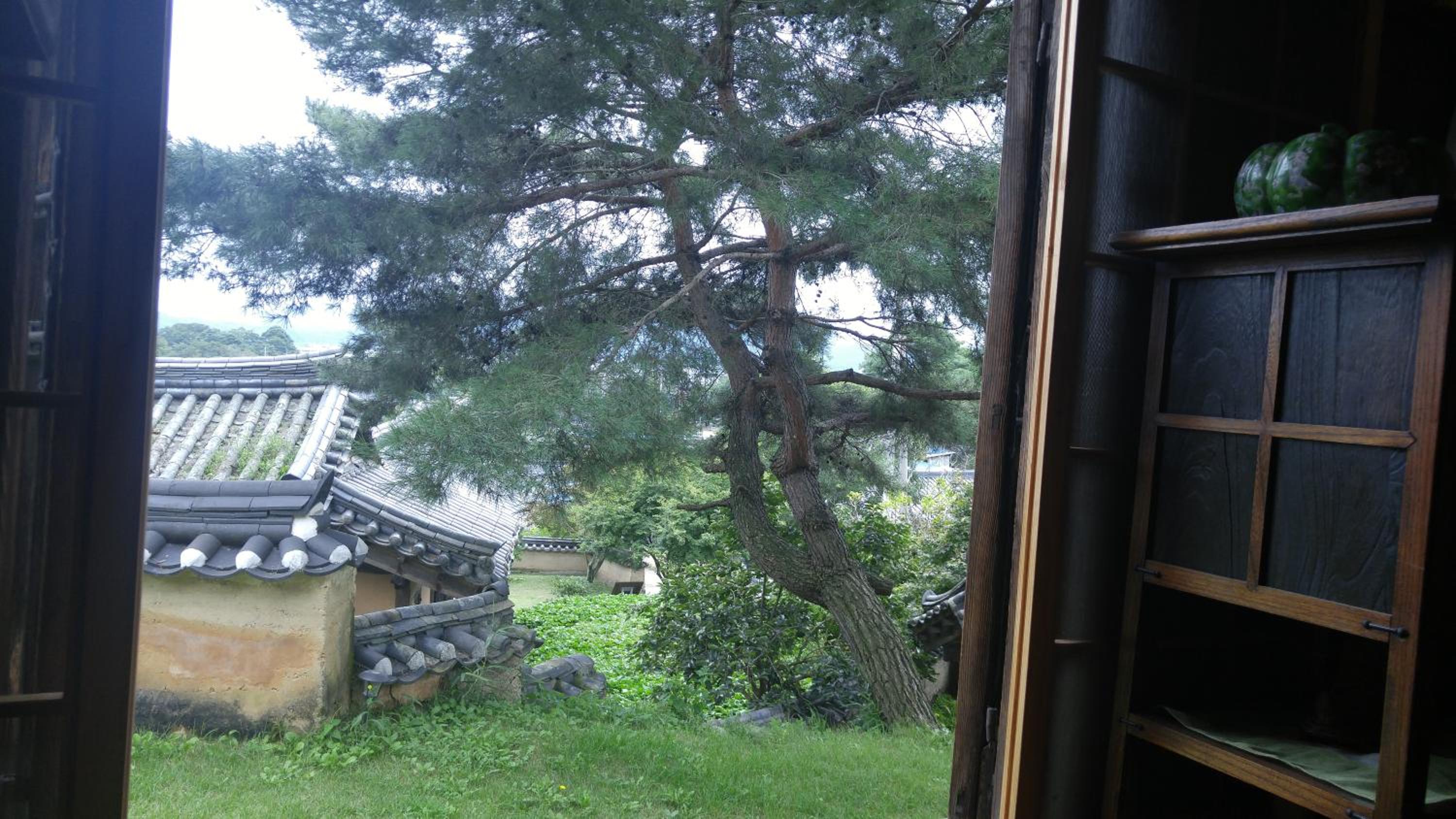 Ahndong Kimjongtaek Yangsodang
