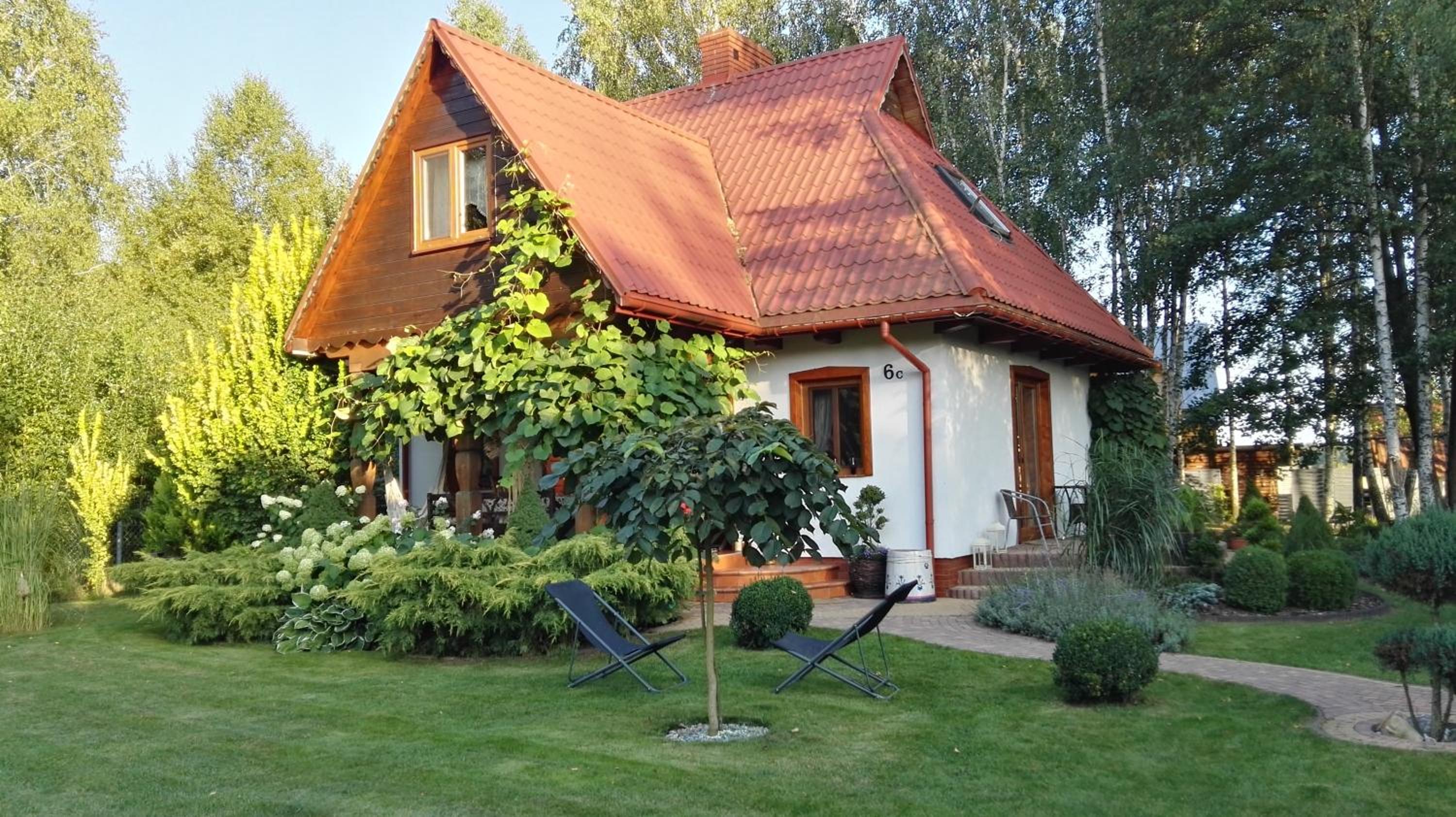 Siedlisko Gruszki Puszcza Białowieska view 3