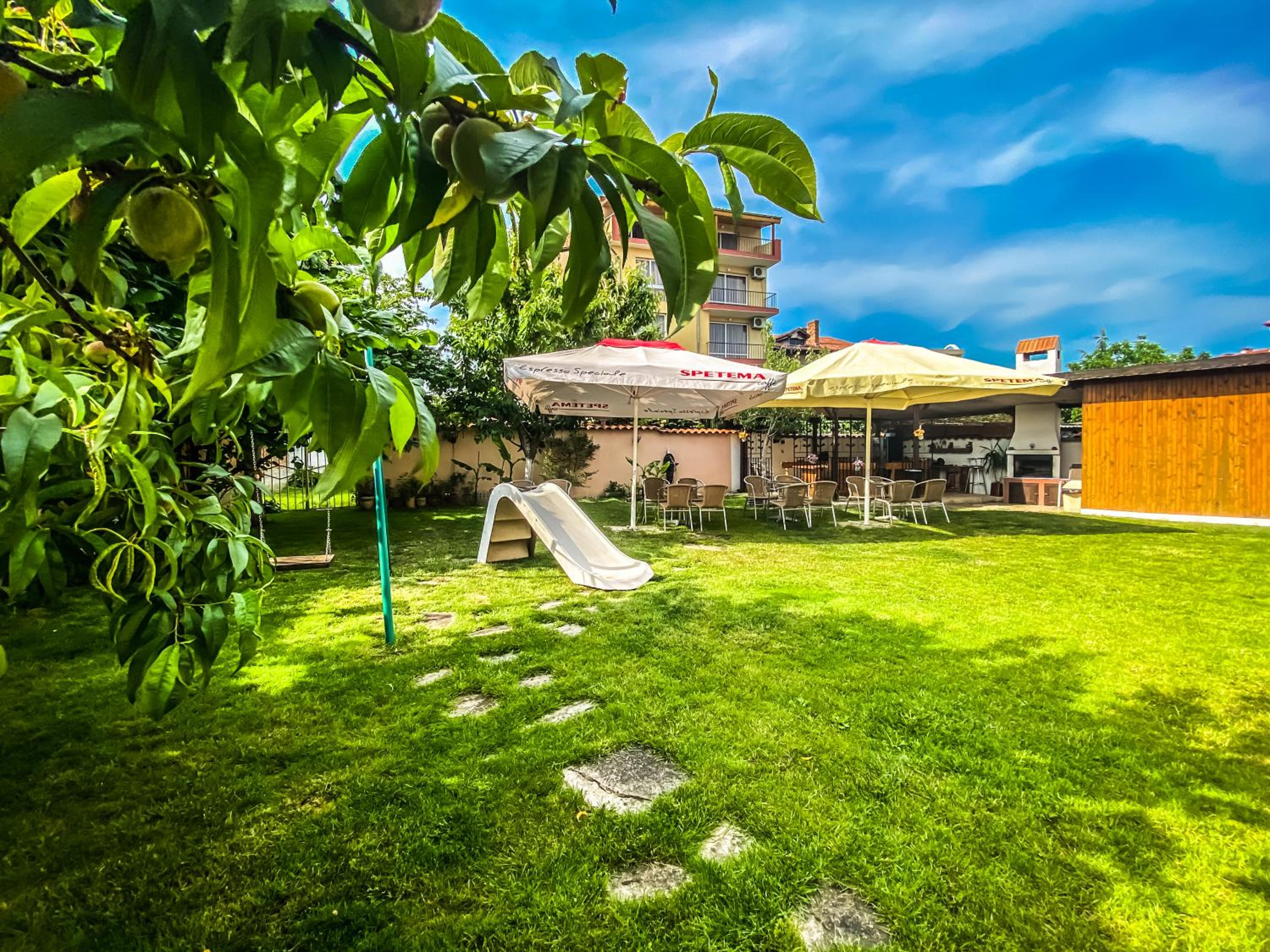 garden