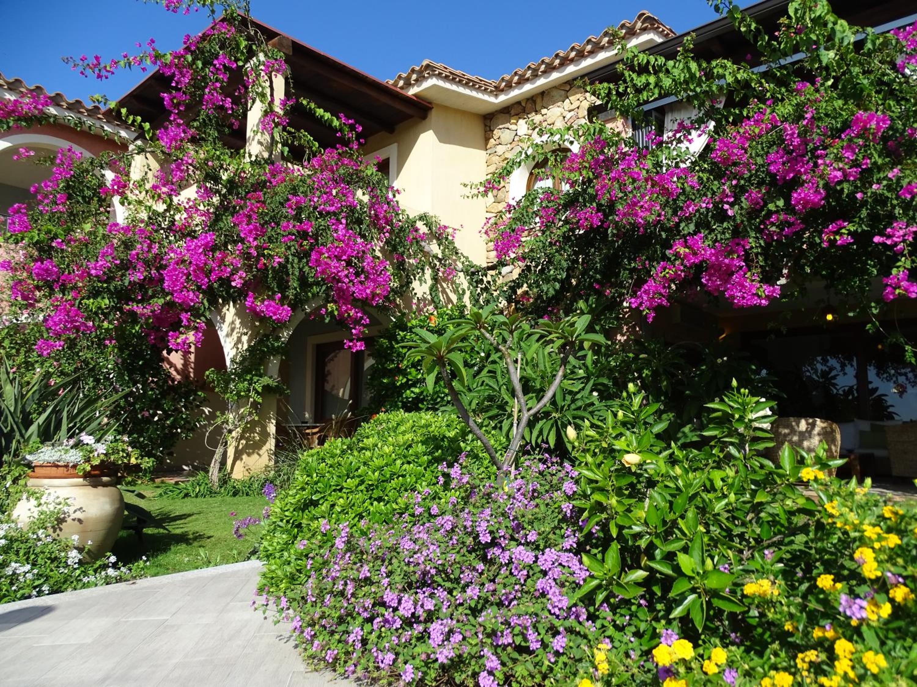 Hotel Mariposas - Image 1