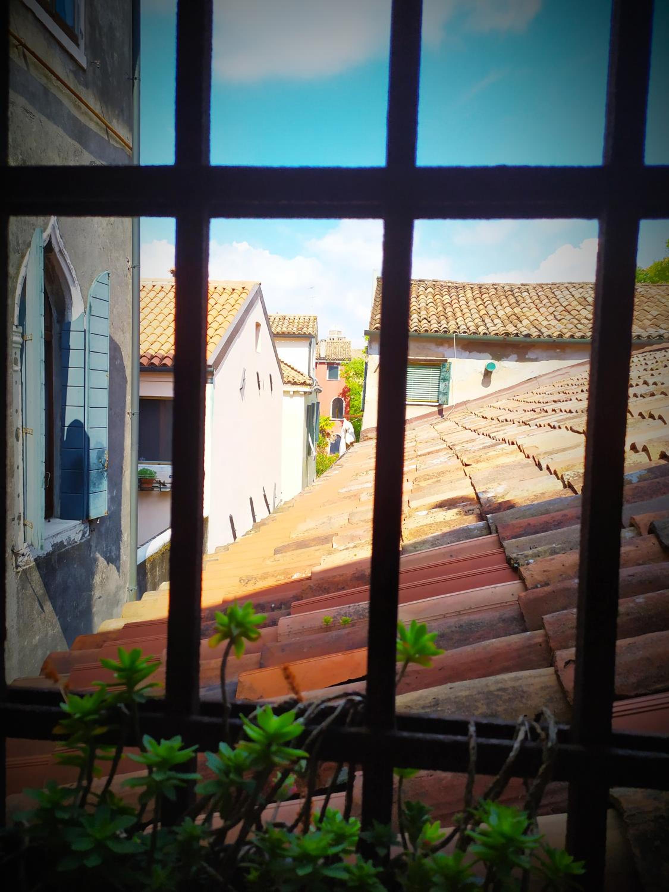 roof