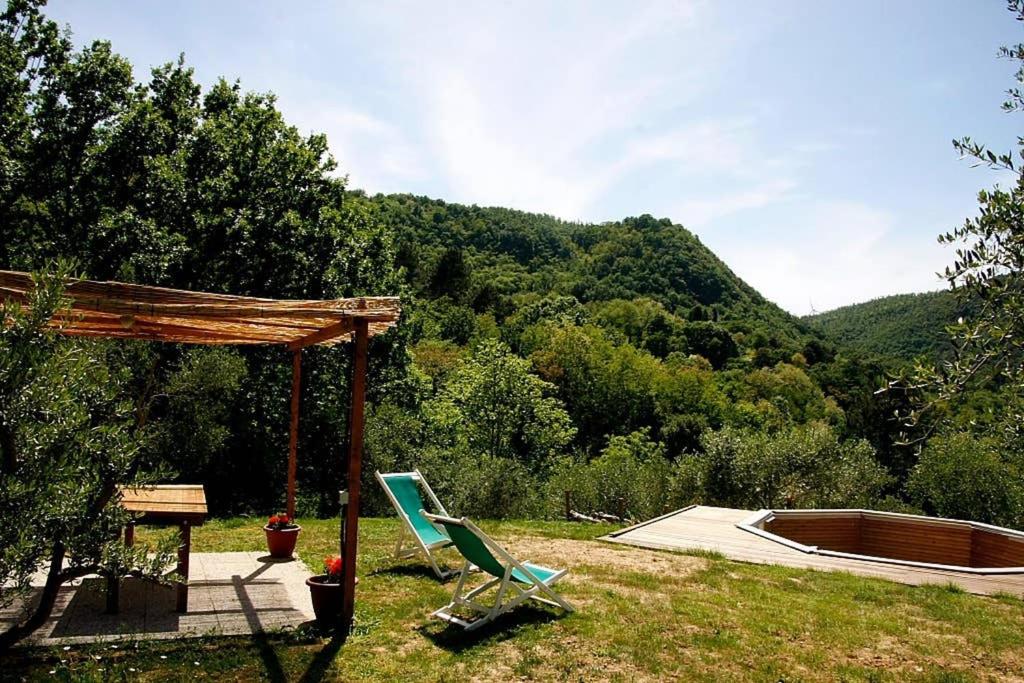 Villa con Piscina 10 Posti Letto, L'Oliveta Di Rivalto view 4