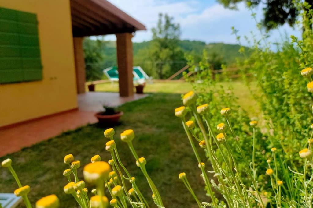 Villa con Piscina 10 Posti Letto, L'Oliveta Di Rivalto view 5