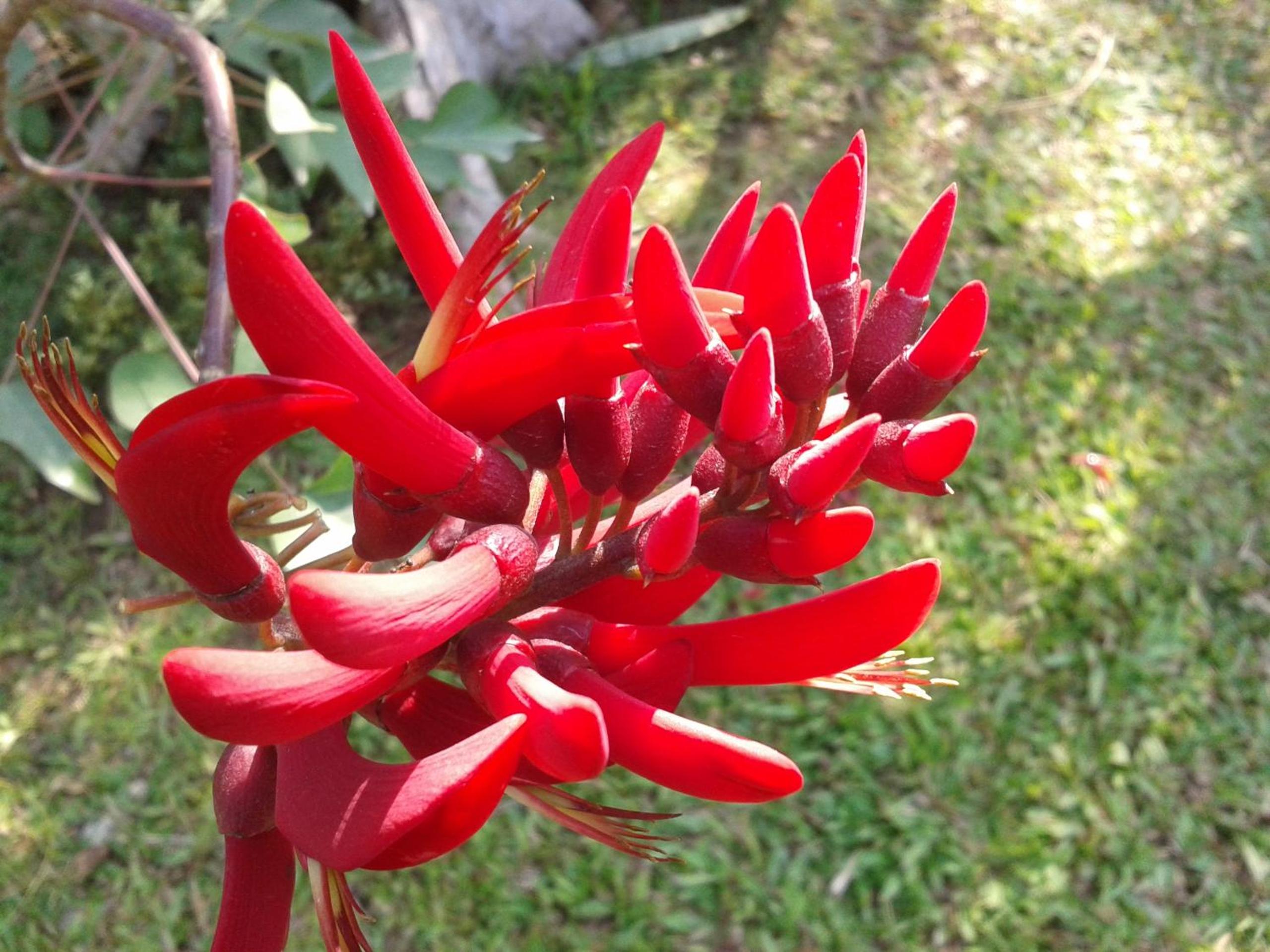 Huan Chiang Dao Resort