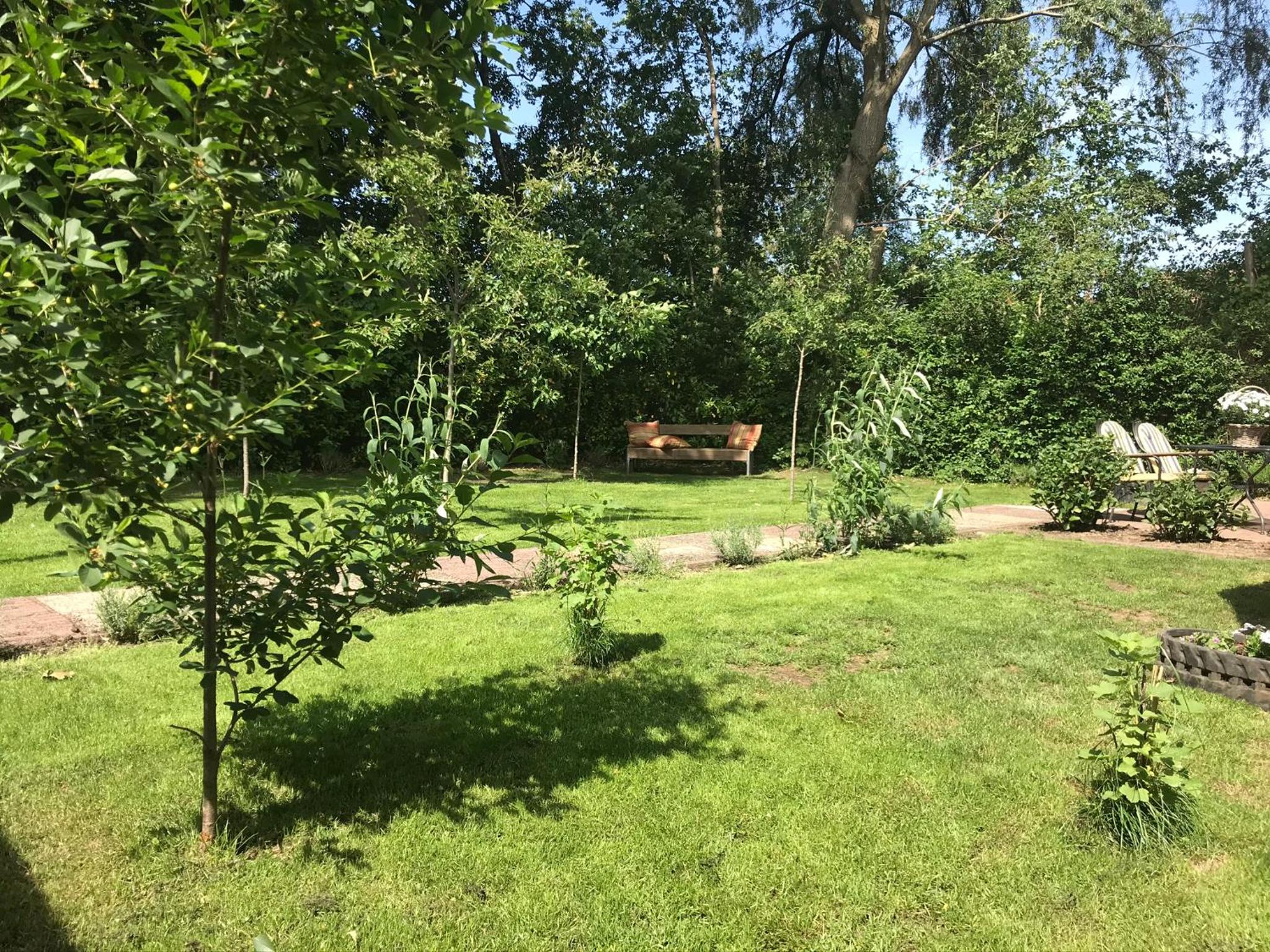 Photo 19