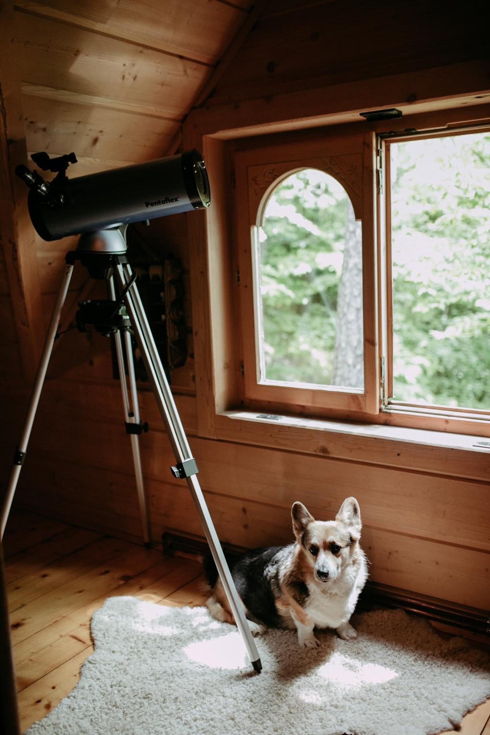 Photo 45