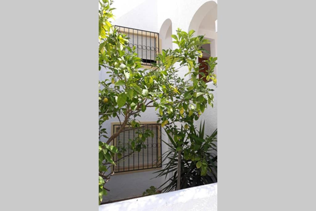 Casa do Limoeiro view 2
