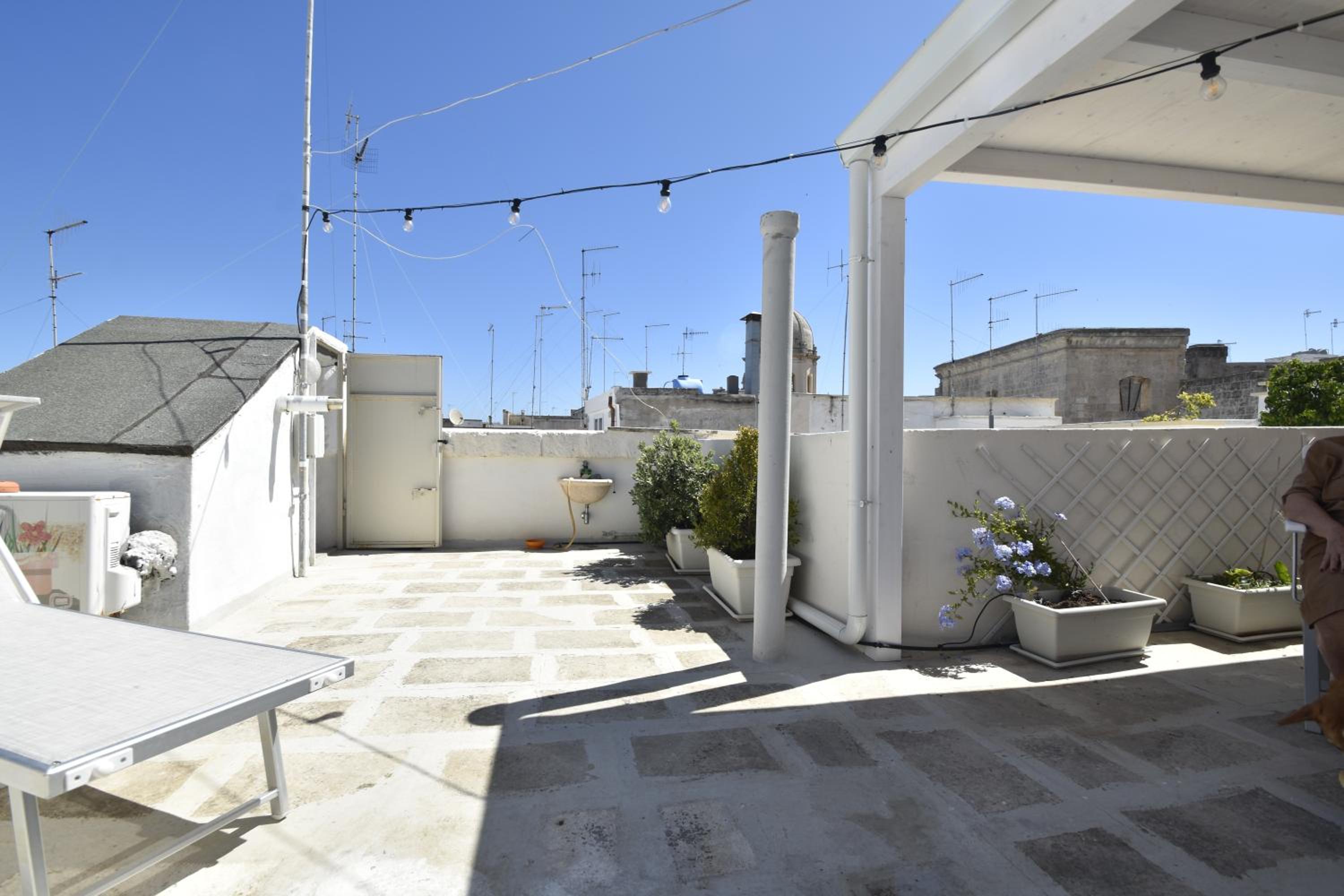 roof