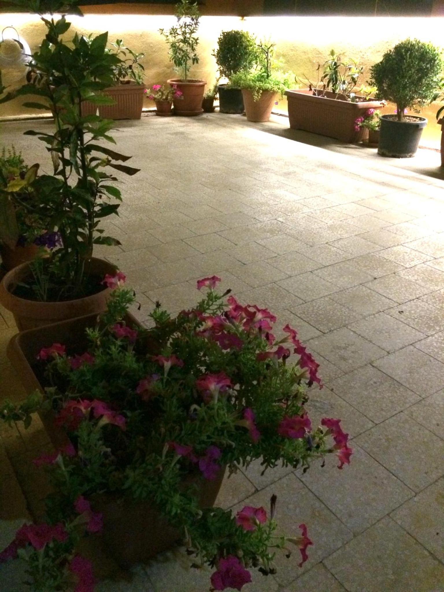 Il Terrazzo del Pittore photo 4