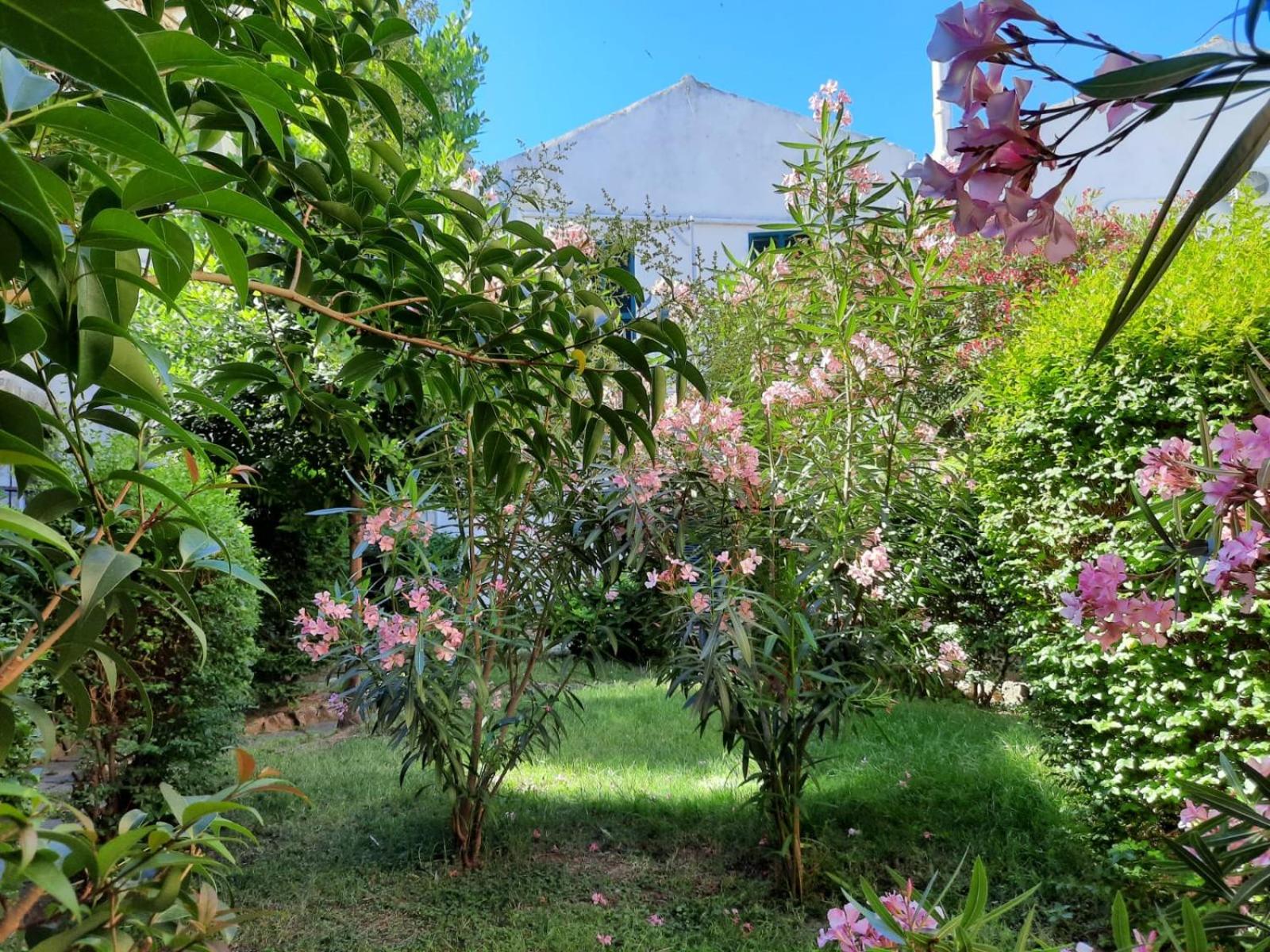 Il Giardino Nascosto B&B view 5