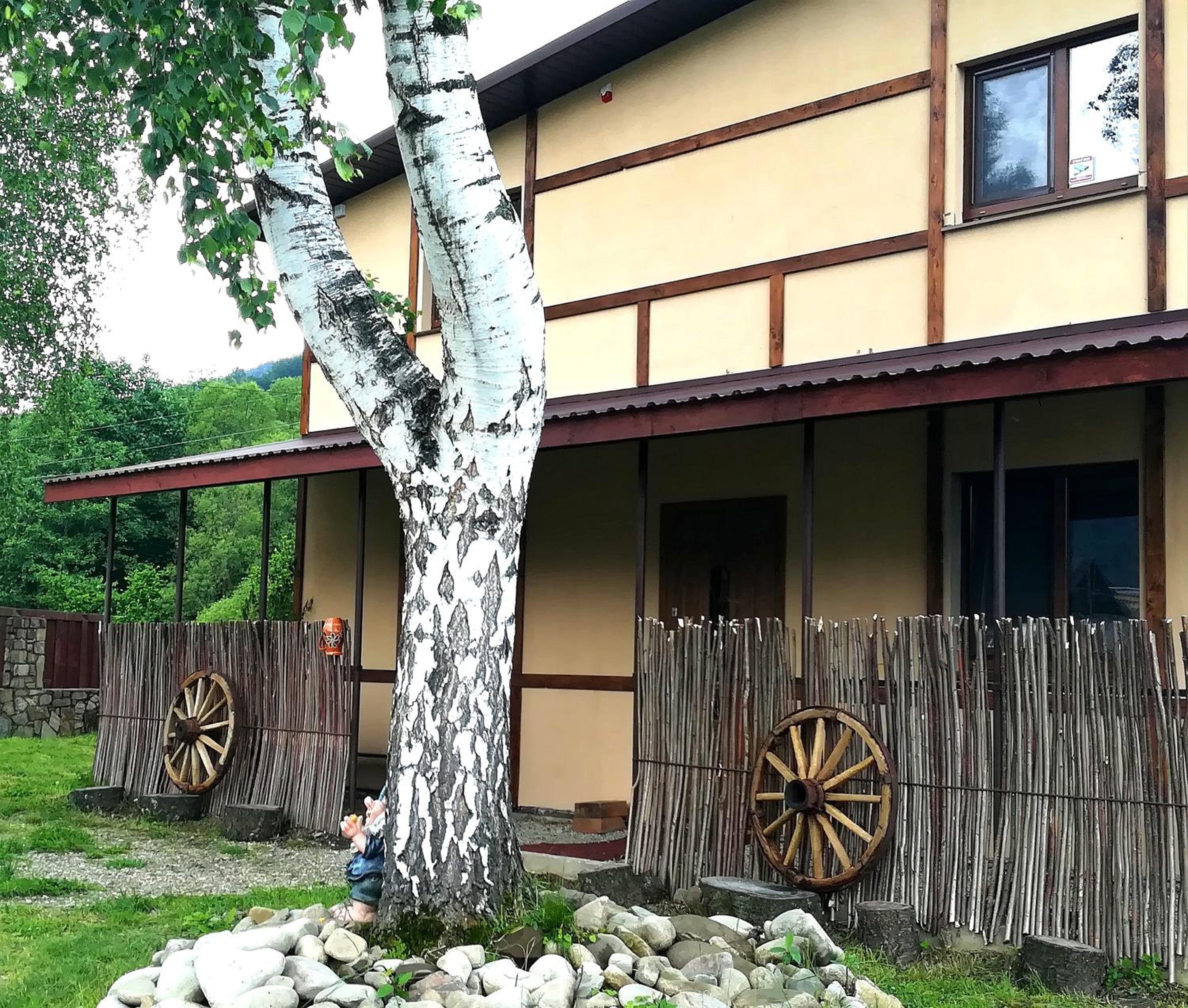 Guest House Pisnya Karpat view 3