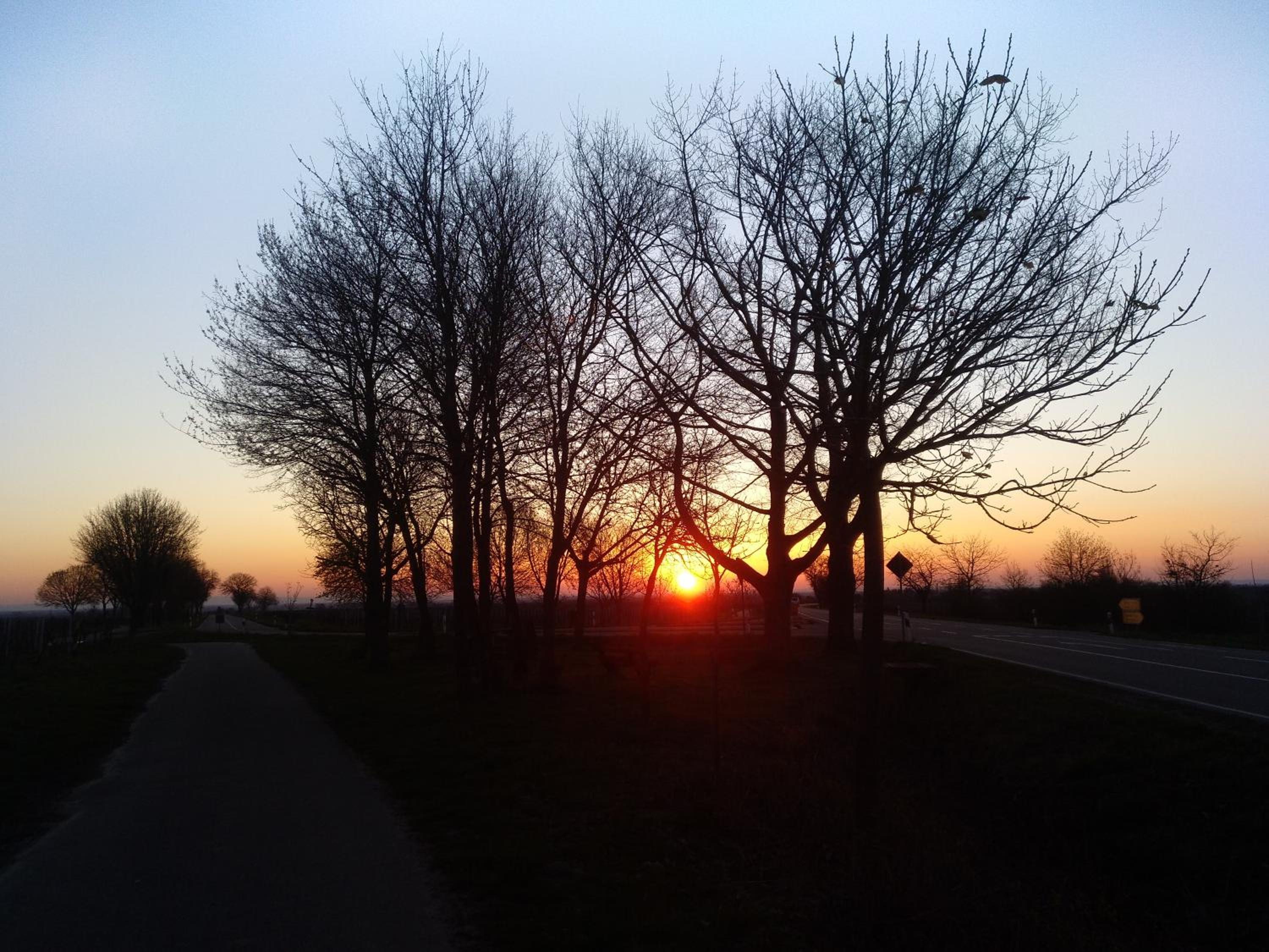 Kakteengarten