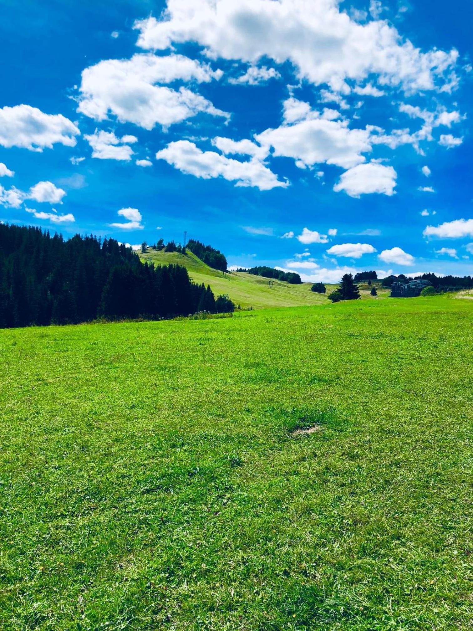 Apartmány KAMZÍK Donovaly