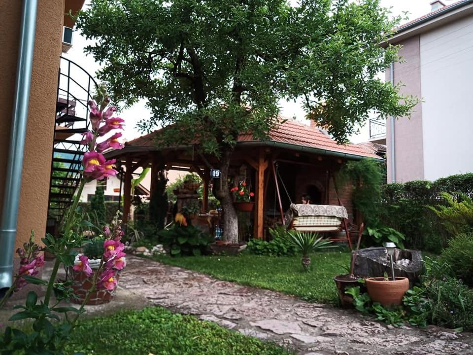 Photo 20