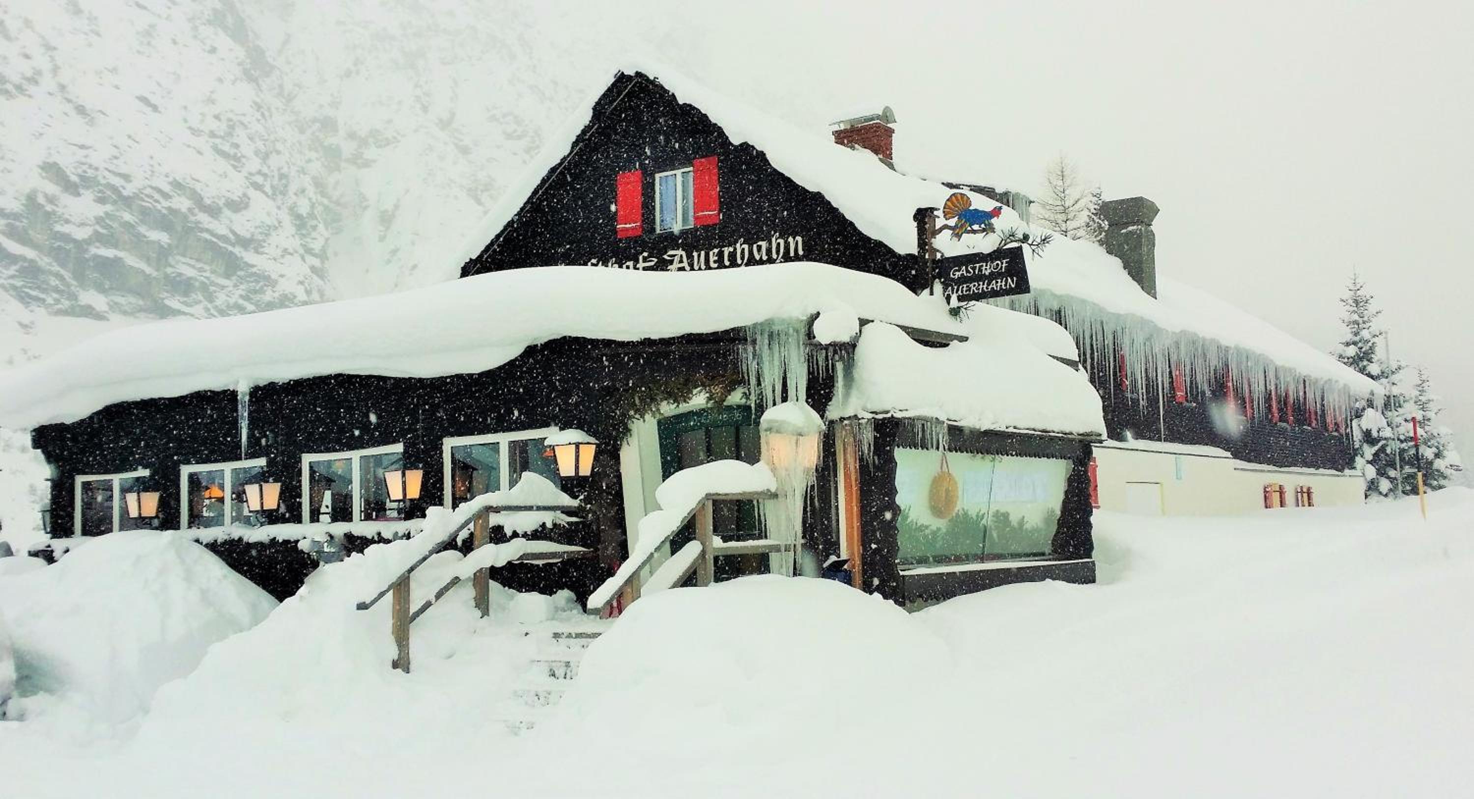 Gasthof Auerhahn