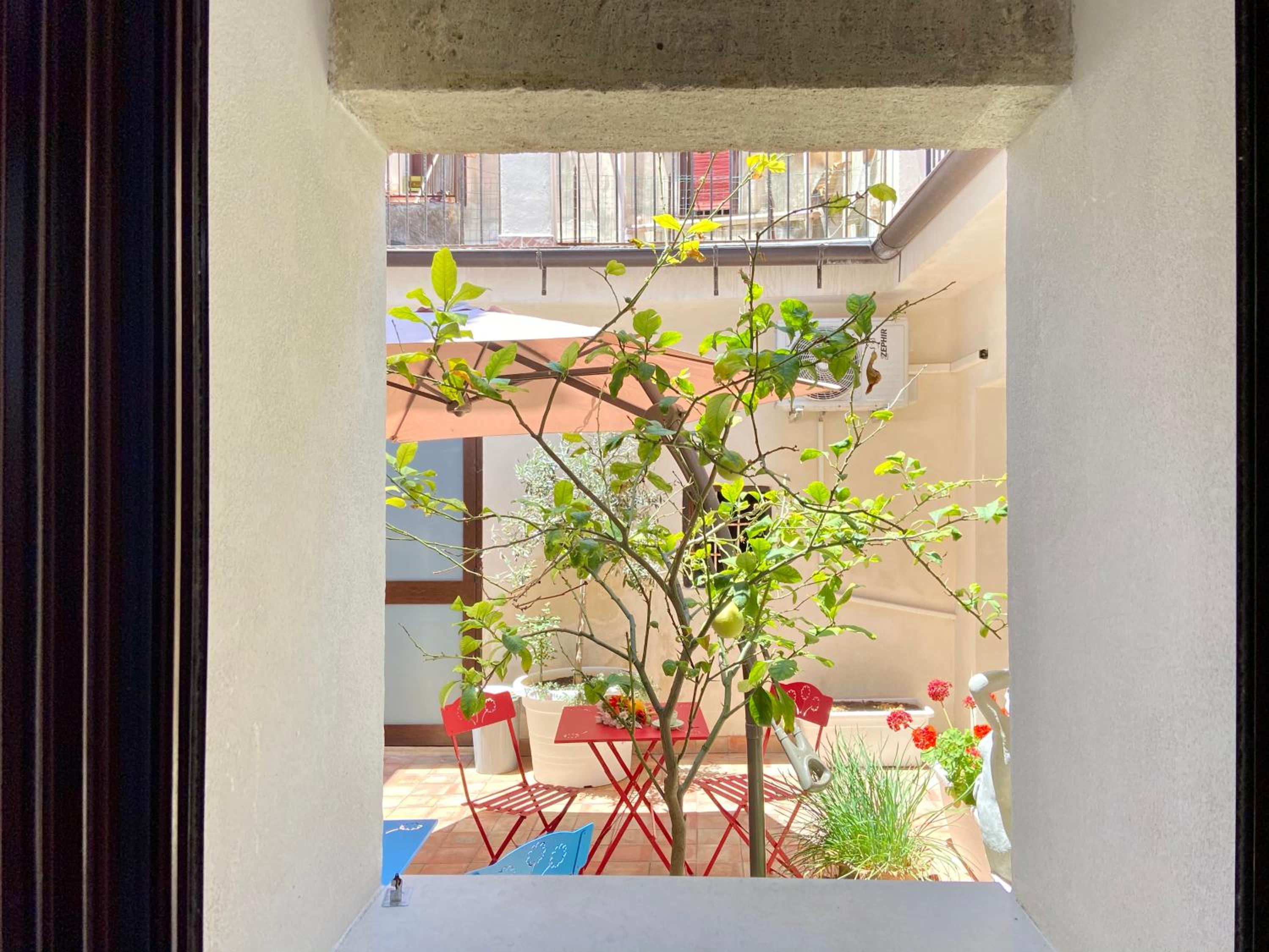 balance & terrace
