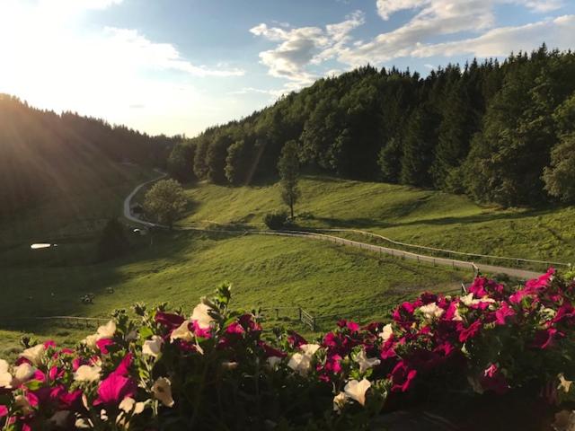 Ferienwohnung Hochsteinalm