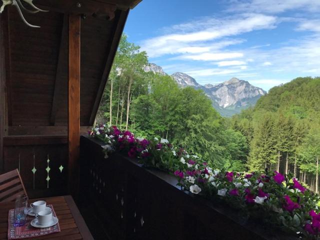 Ferienwohnung Hochsteinalm