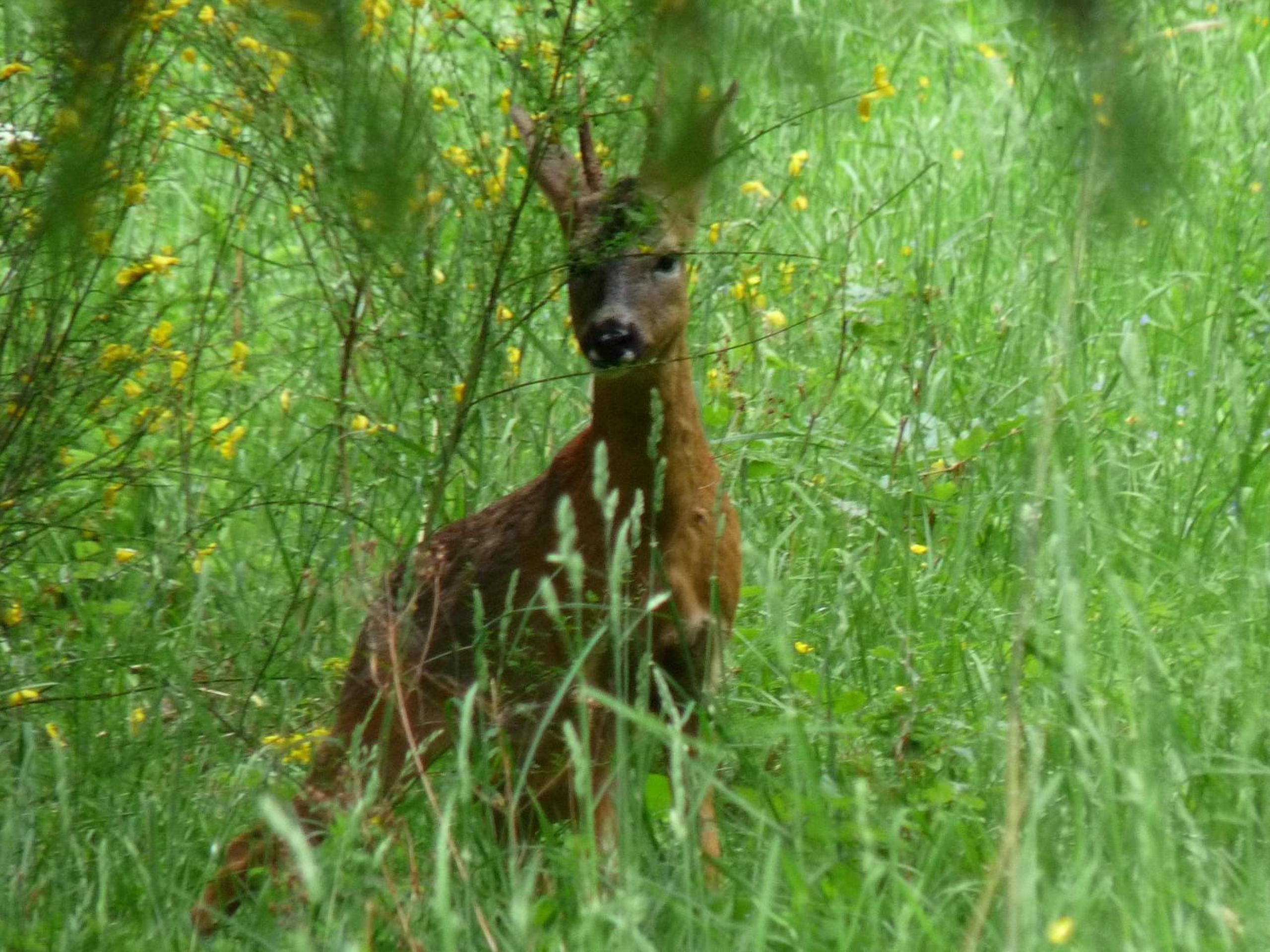 Photo 11