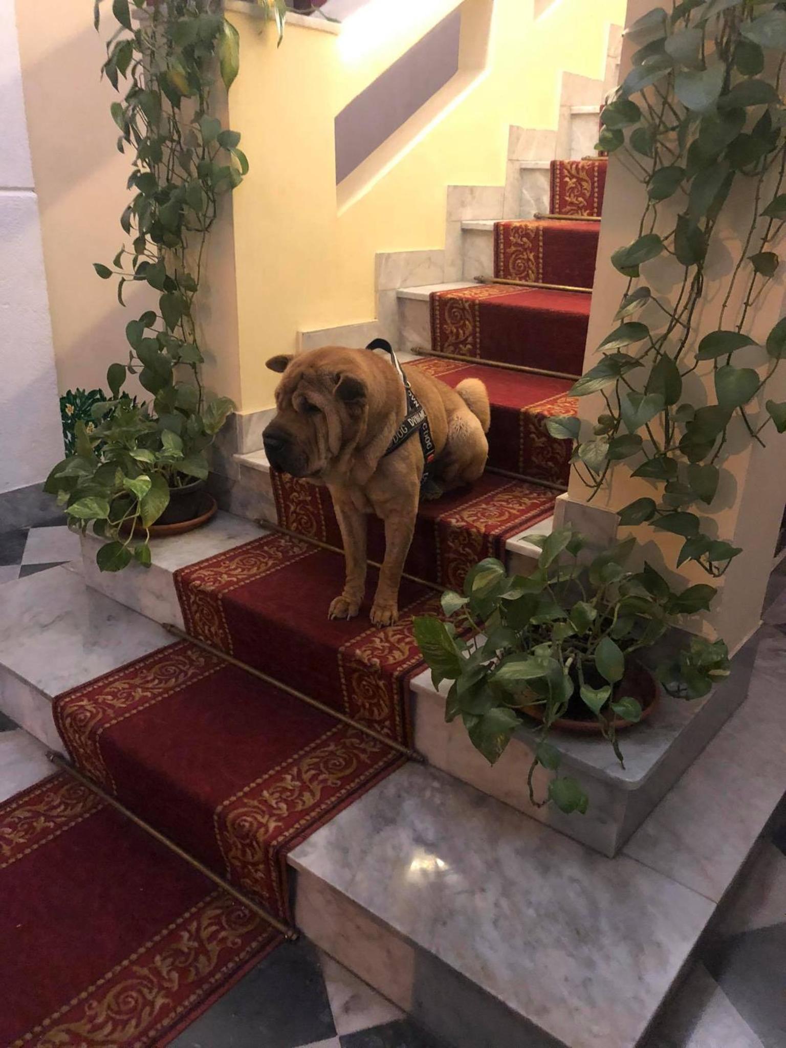 B&B Al Piazza Marina