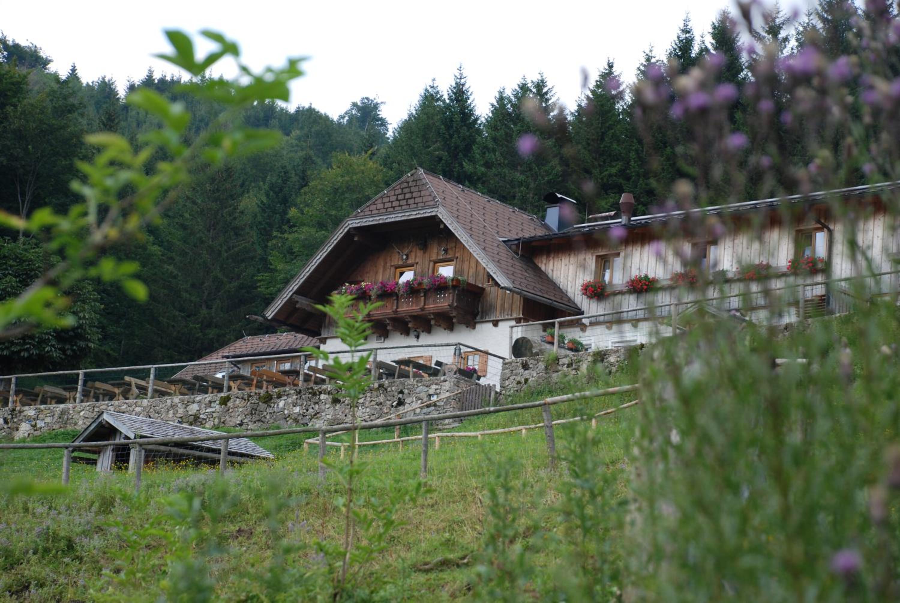Ferienwohnung Hochsteinalm