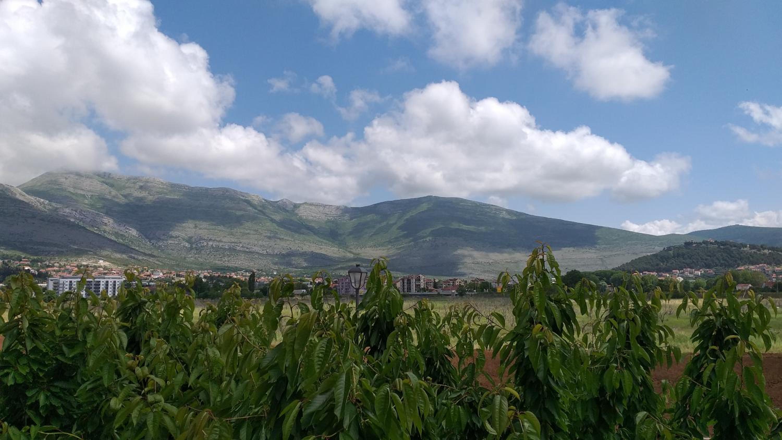 Apartman JOVO